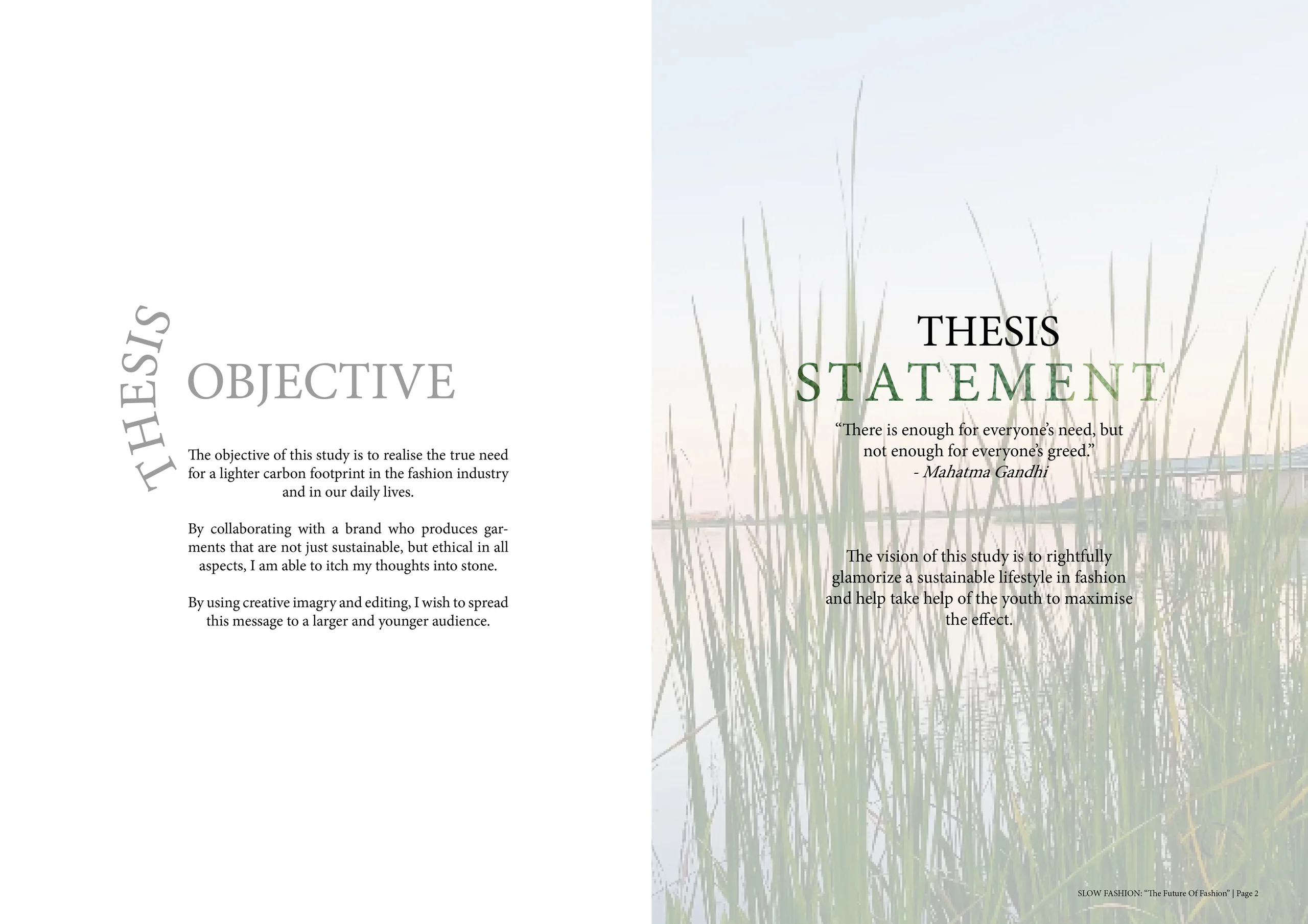 Thesis Study: Brand Development