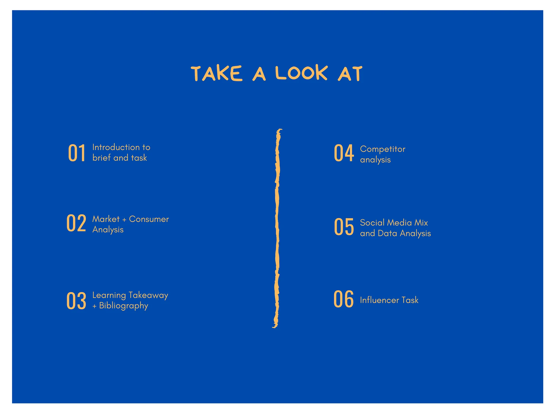 Influencer Marketing Campaign