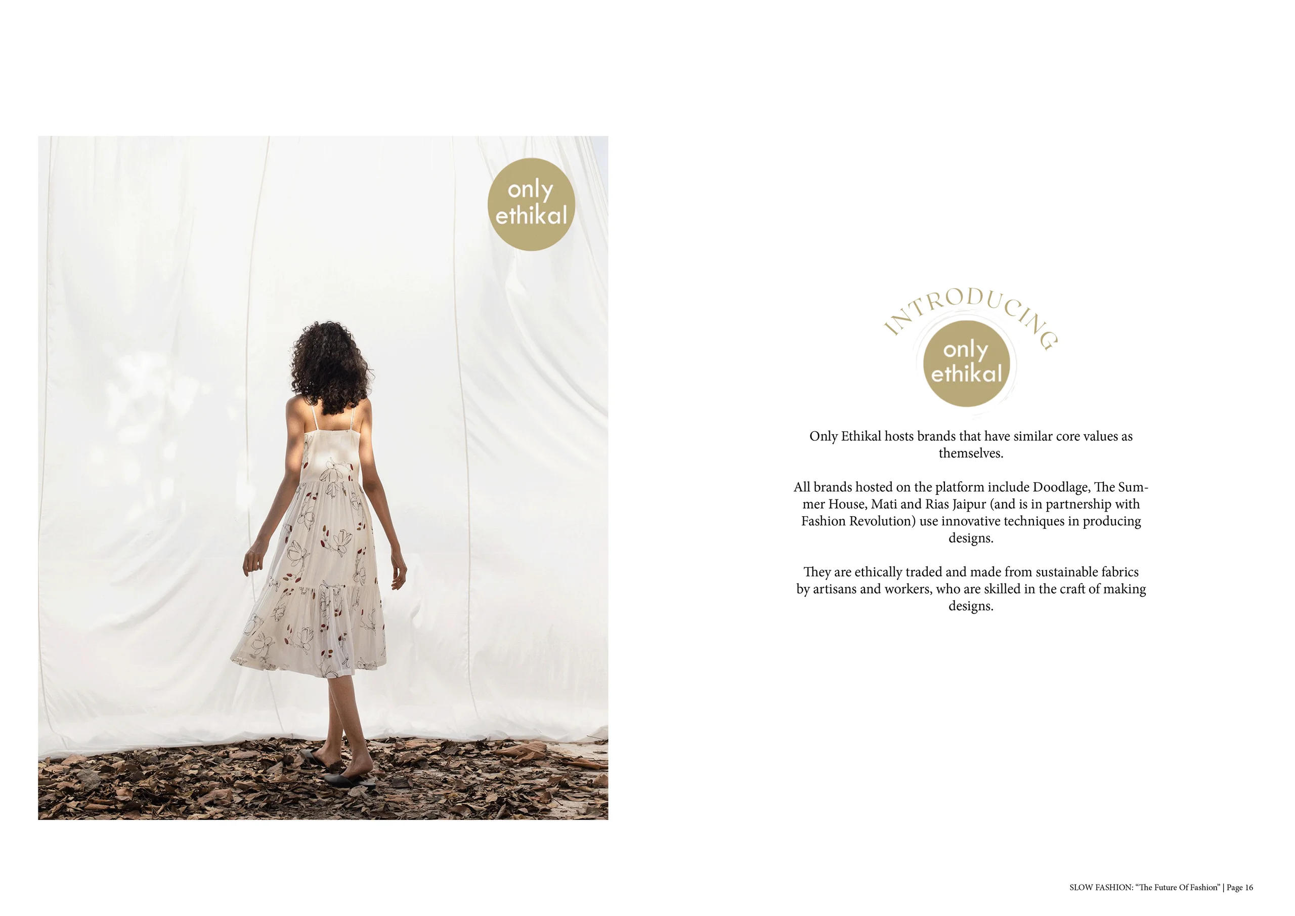 Thesis Study: Brand Development