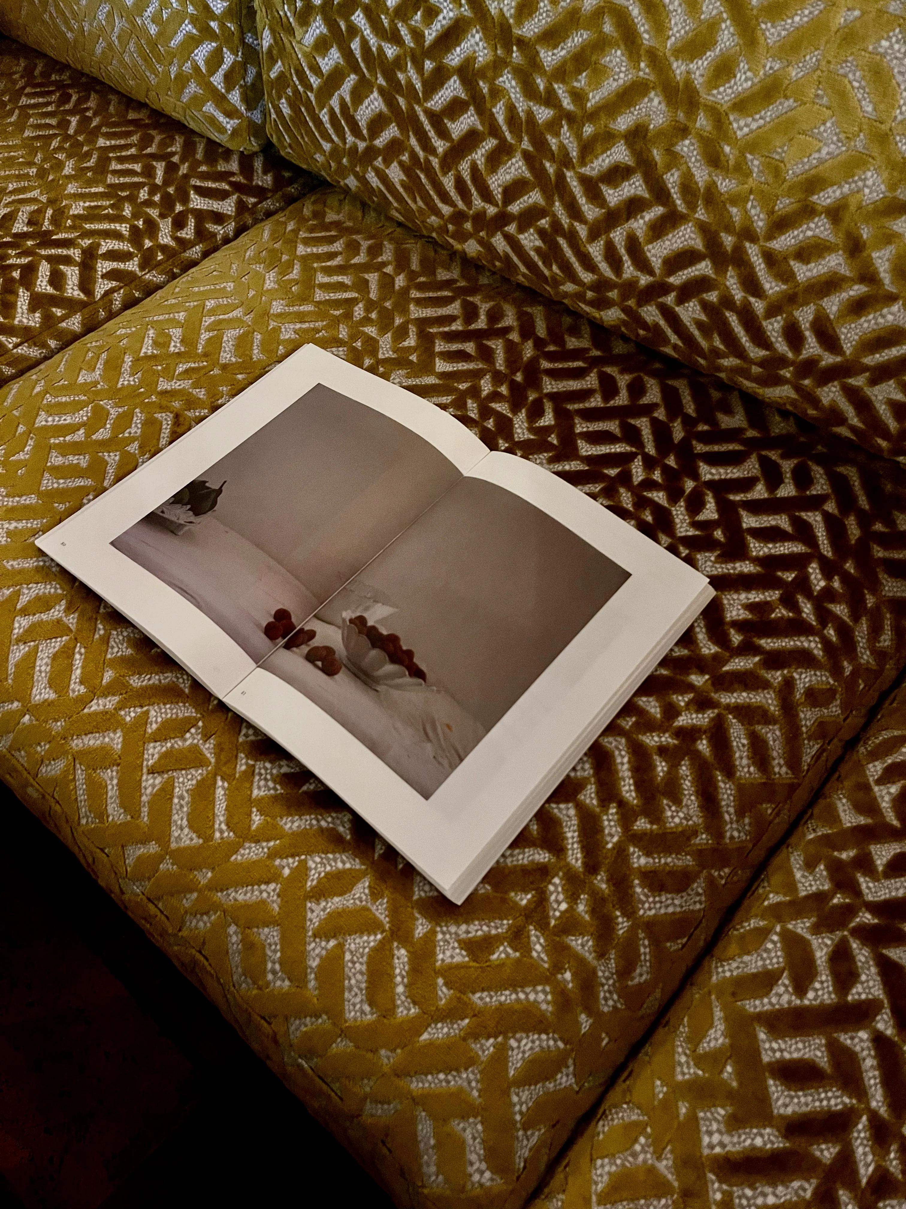 Open book on gold and silver patterned cushion. Book shows photo of scattered rose petals.