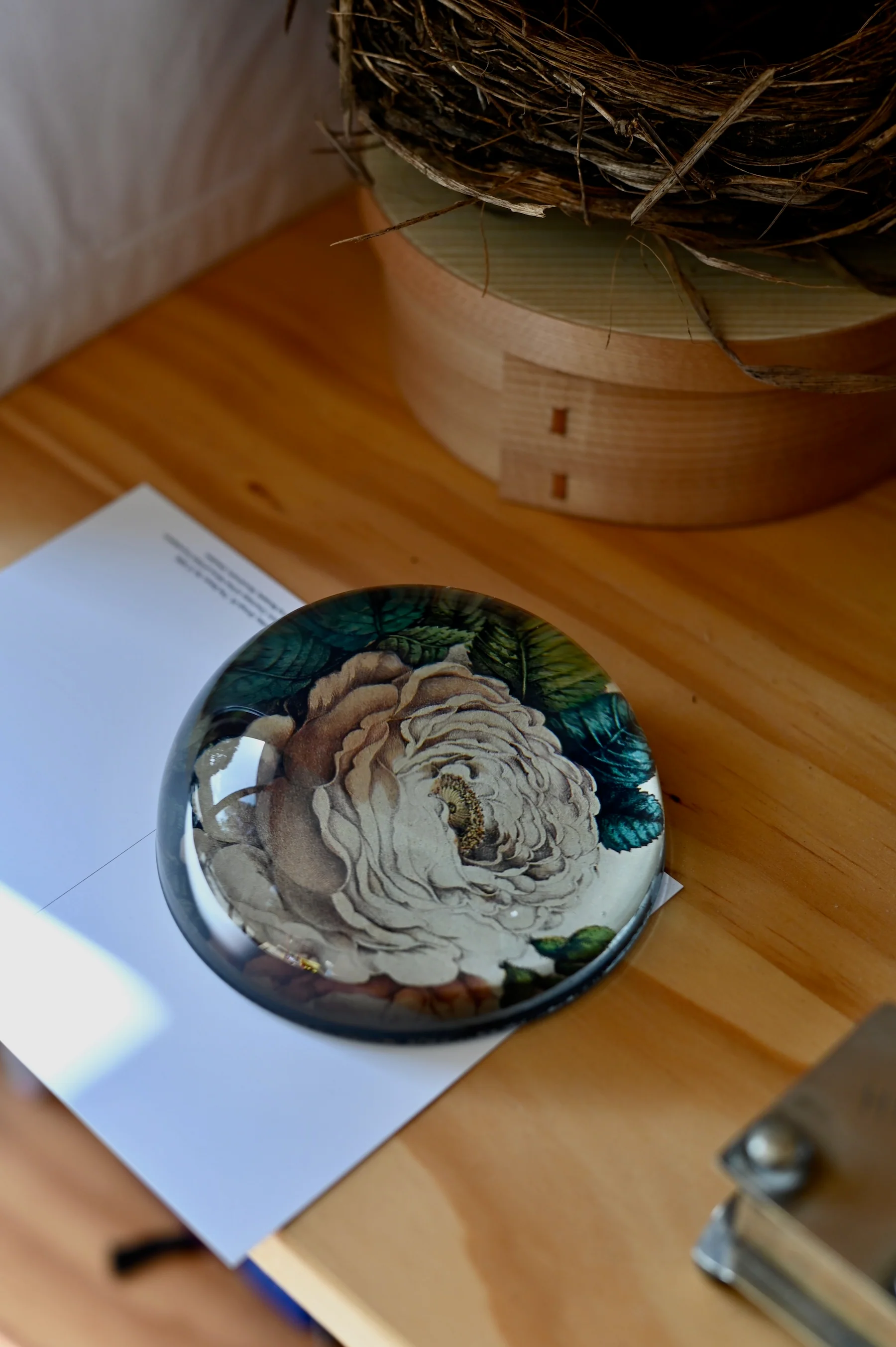 Clear glass paperweight with floral design on paper. Bird's nest and wooden container in background.