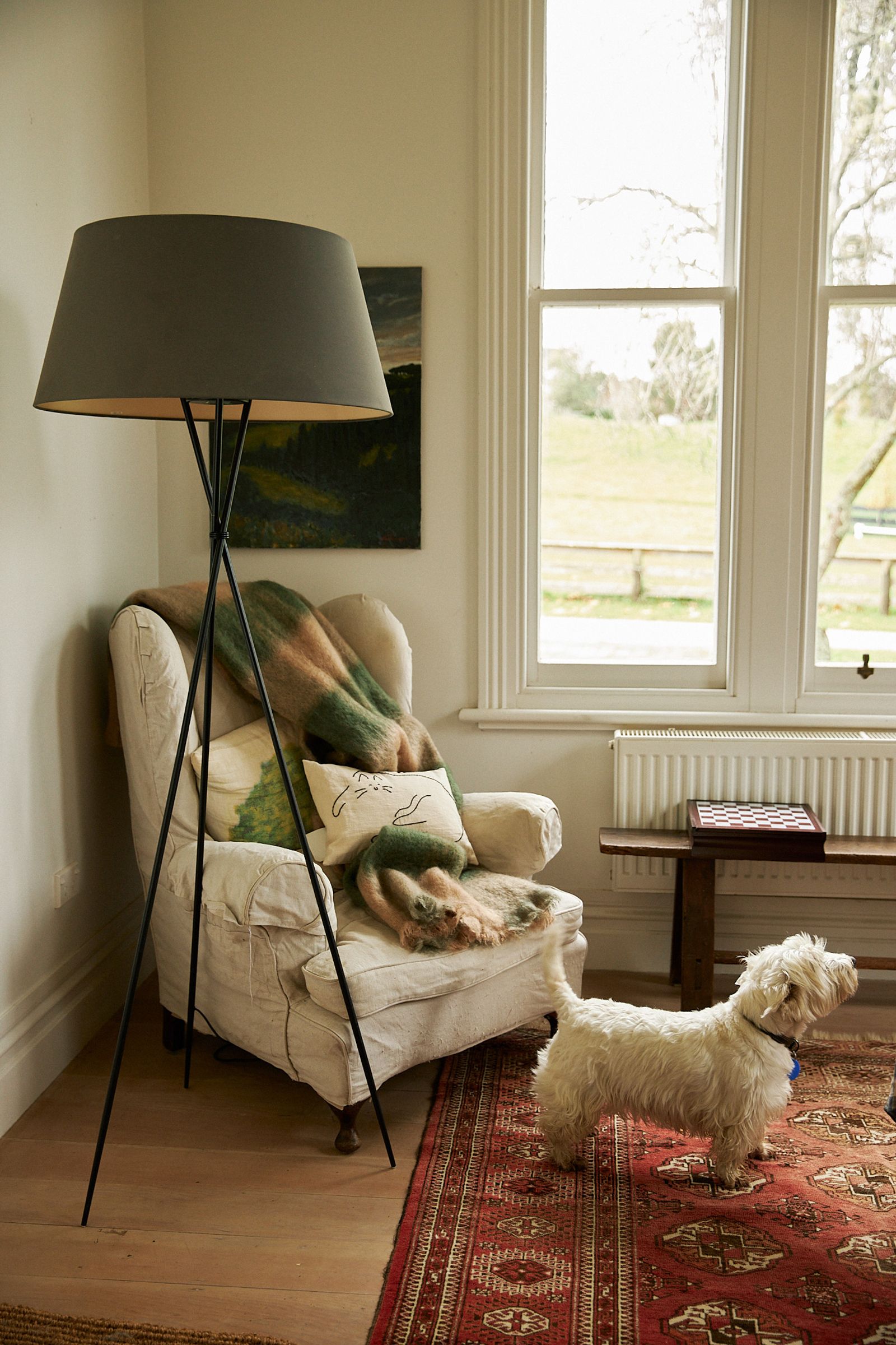 small white dog stands next to sofa with a cat pillow and throw