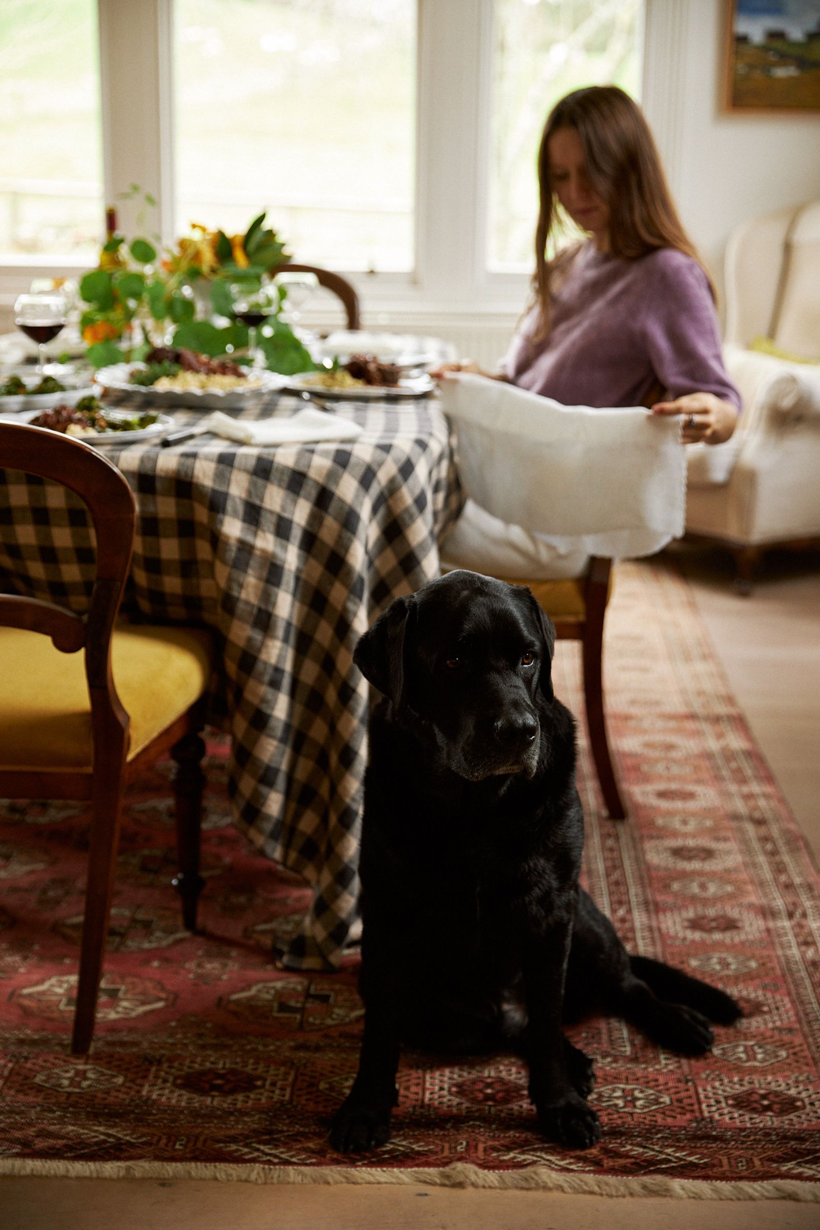 black Labrador sits next to dining table on a red rug