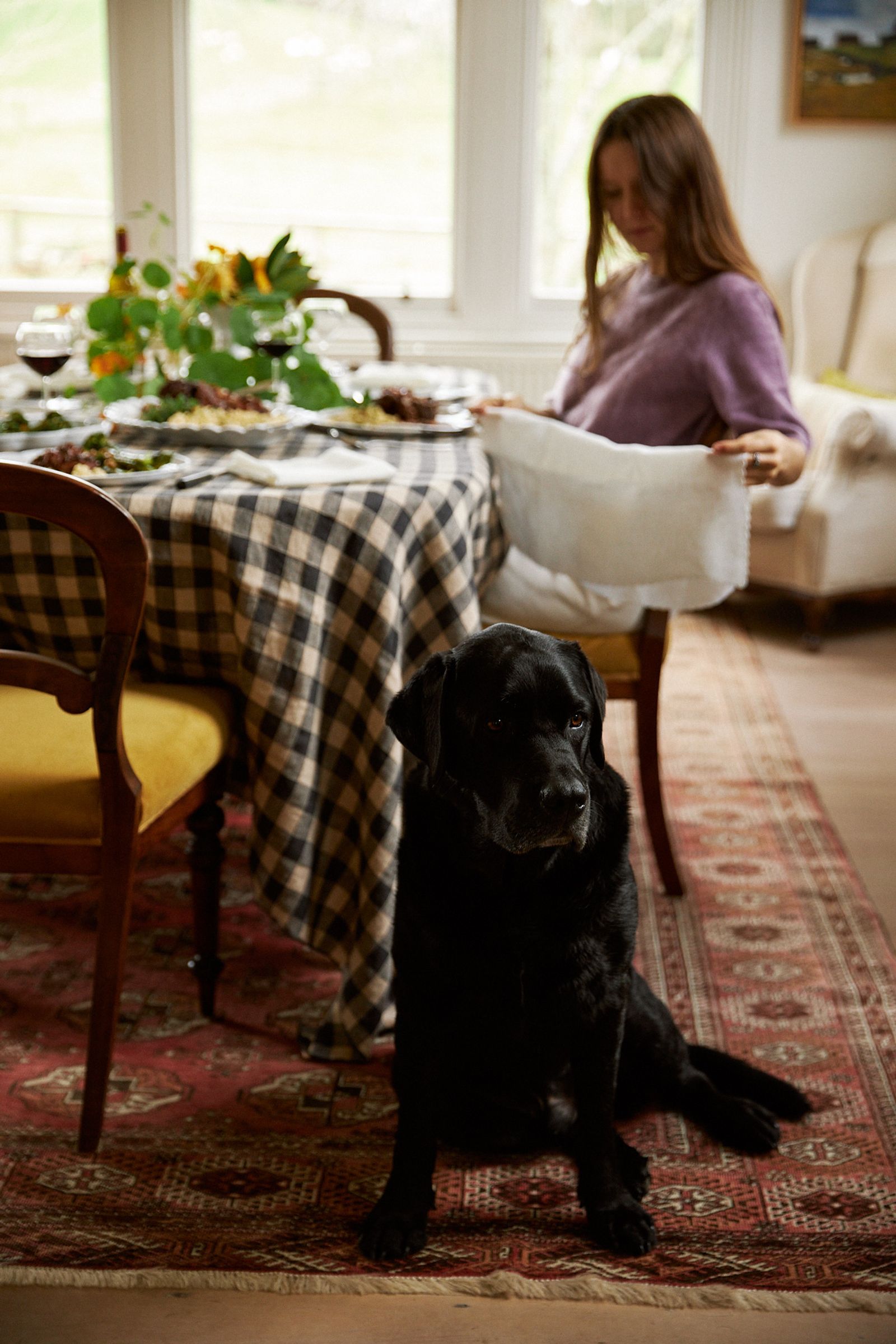 black Labrador sits next to dining table on a red rug