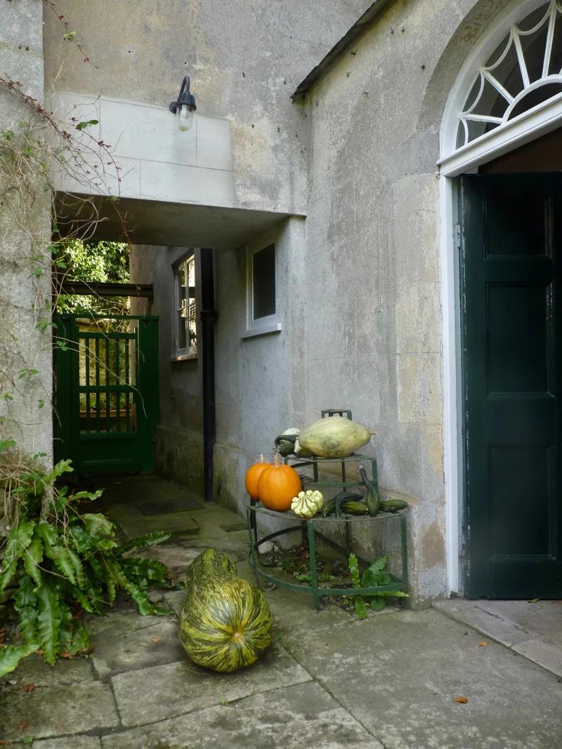 Stone archway and green door. Pumpkins and gourds arranged near wooden gate with plants and flowers.