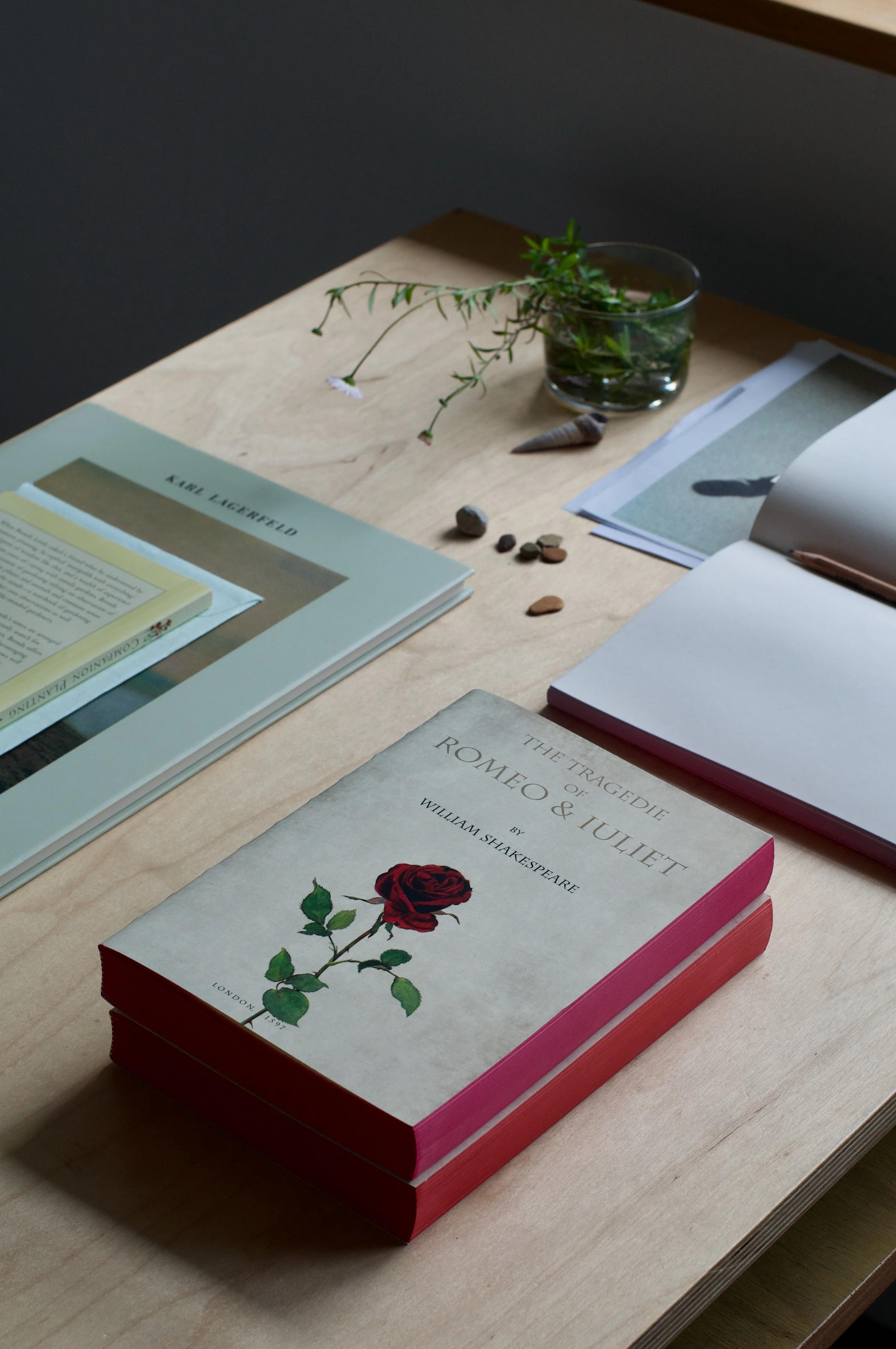 Wooden table with books including Shakespeare's Romeo & Juliet. Open notebook with handwriting, small rocks, and plant in glass create study atmosphere.