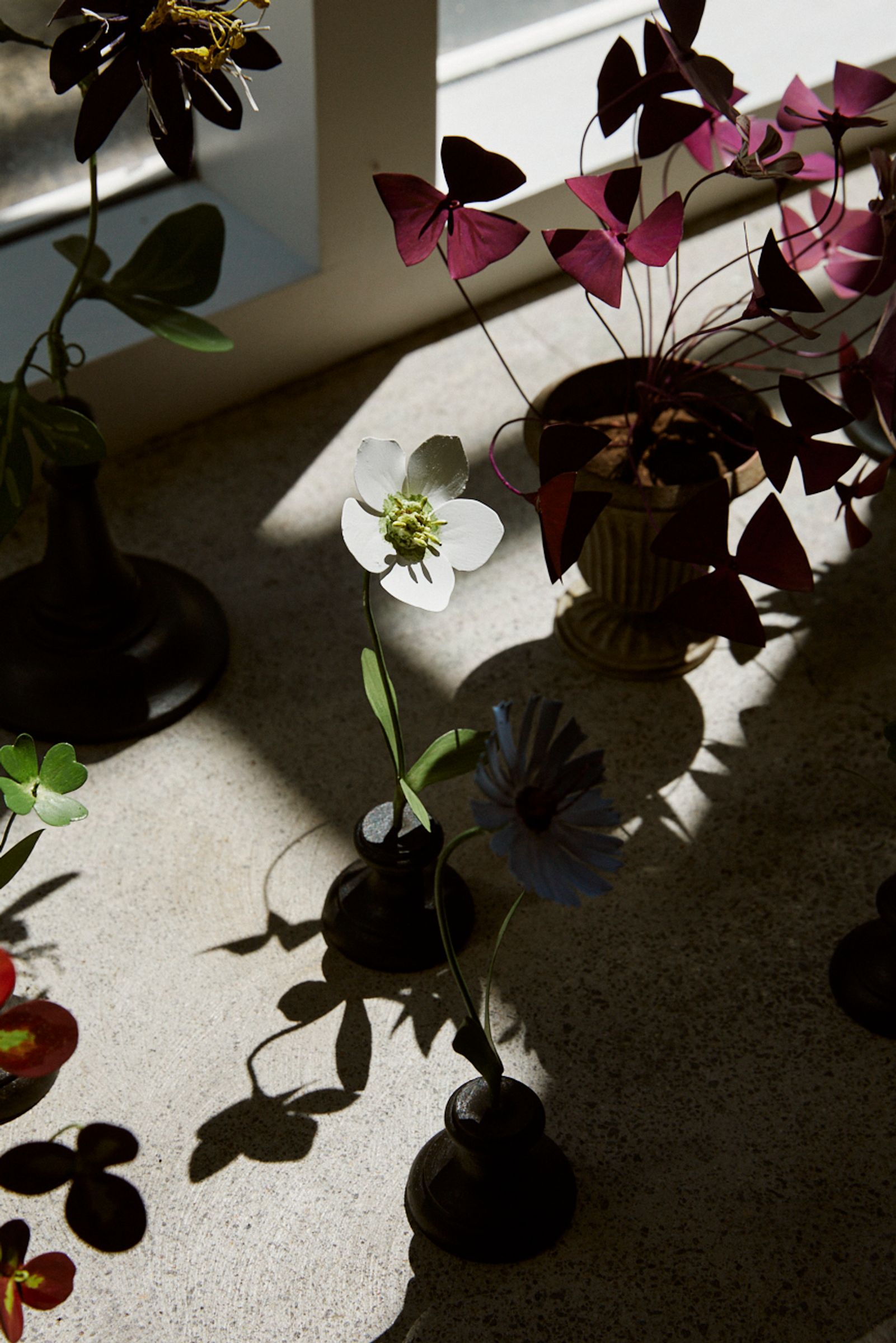 copper flower sculptures icatch the sun pouring in from a window
