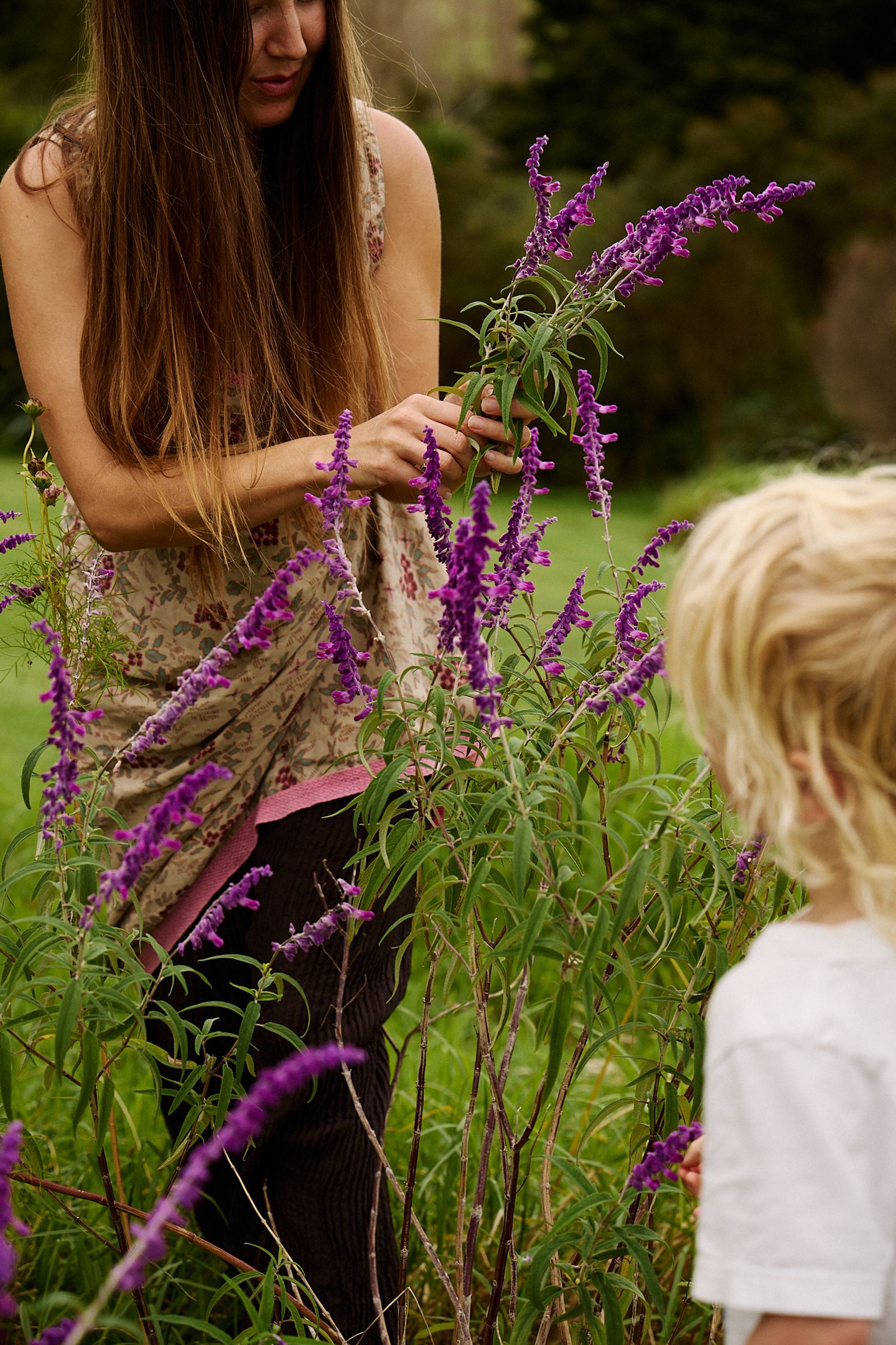 close up of flowers picked for the vase on their table 