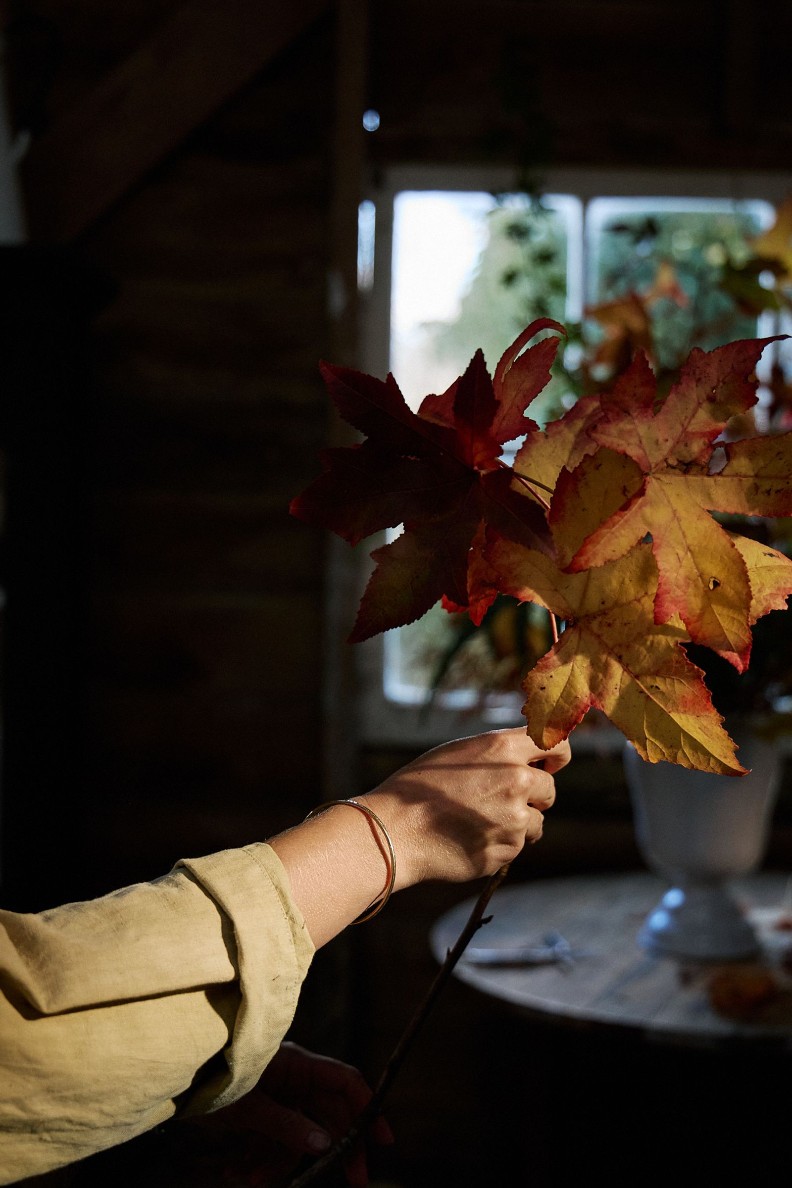 close up of Aila holding a bunch of orange maple leaves