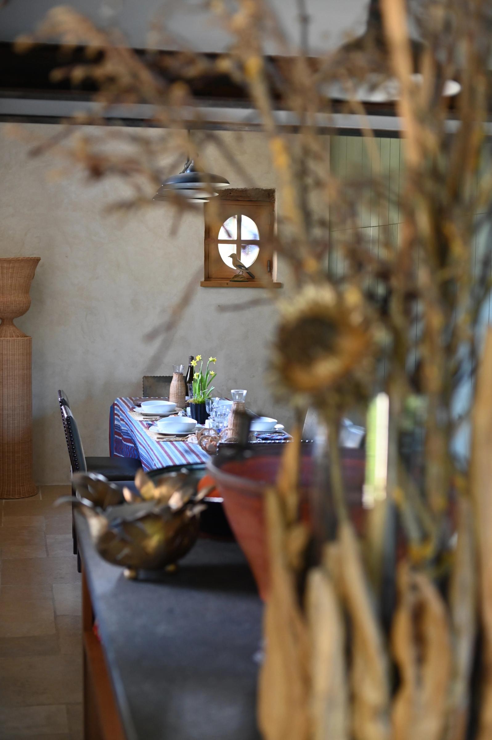 the dining table set for lunch through a botanical display