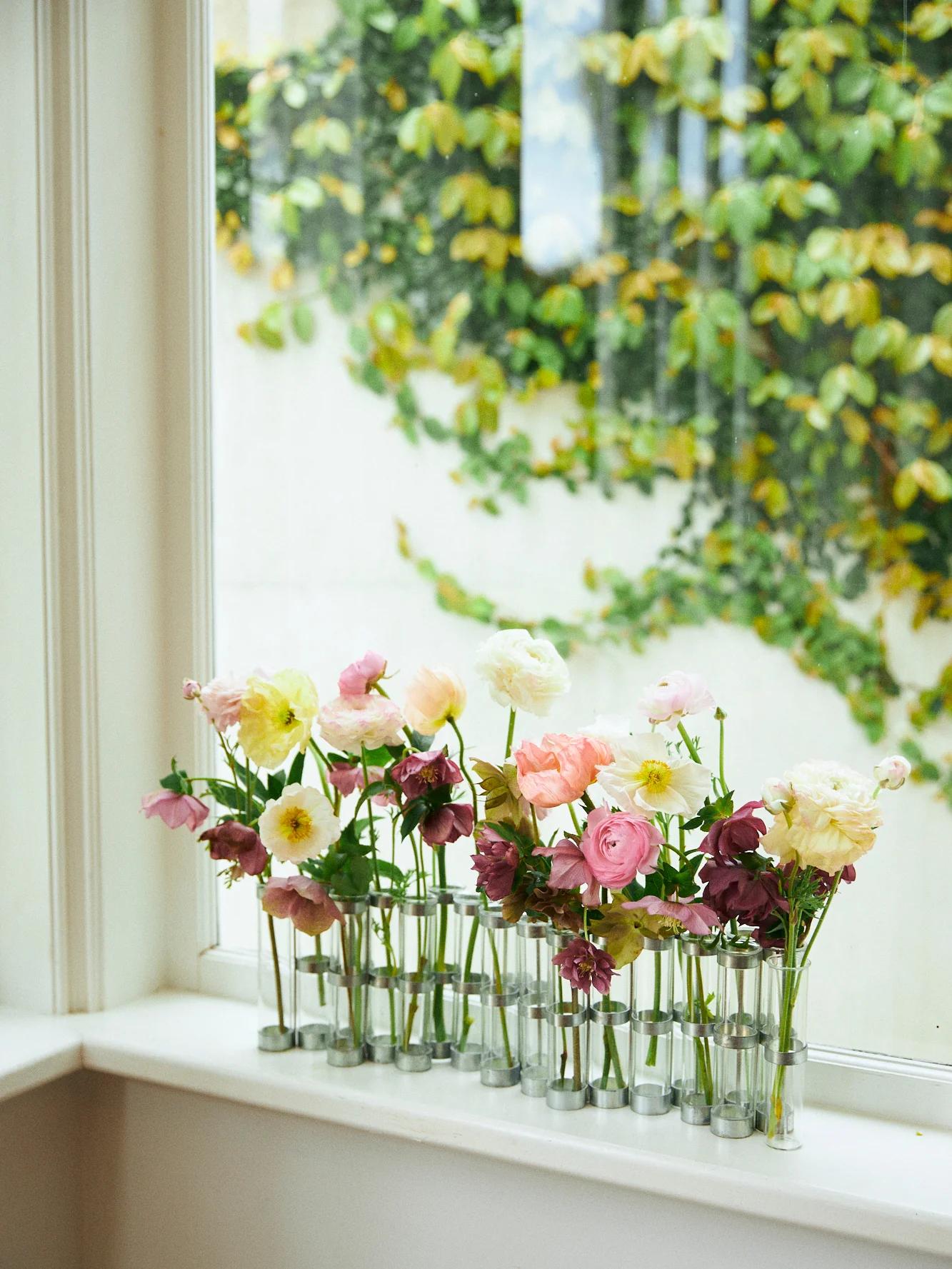 Assorted flowers in small glass vases on windowsill. Green, leafy view outside. Pink, white, and yellow blooms.