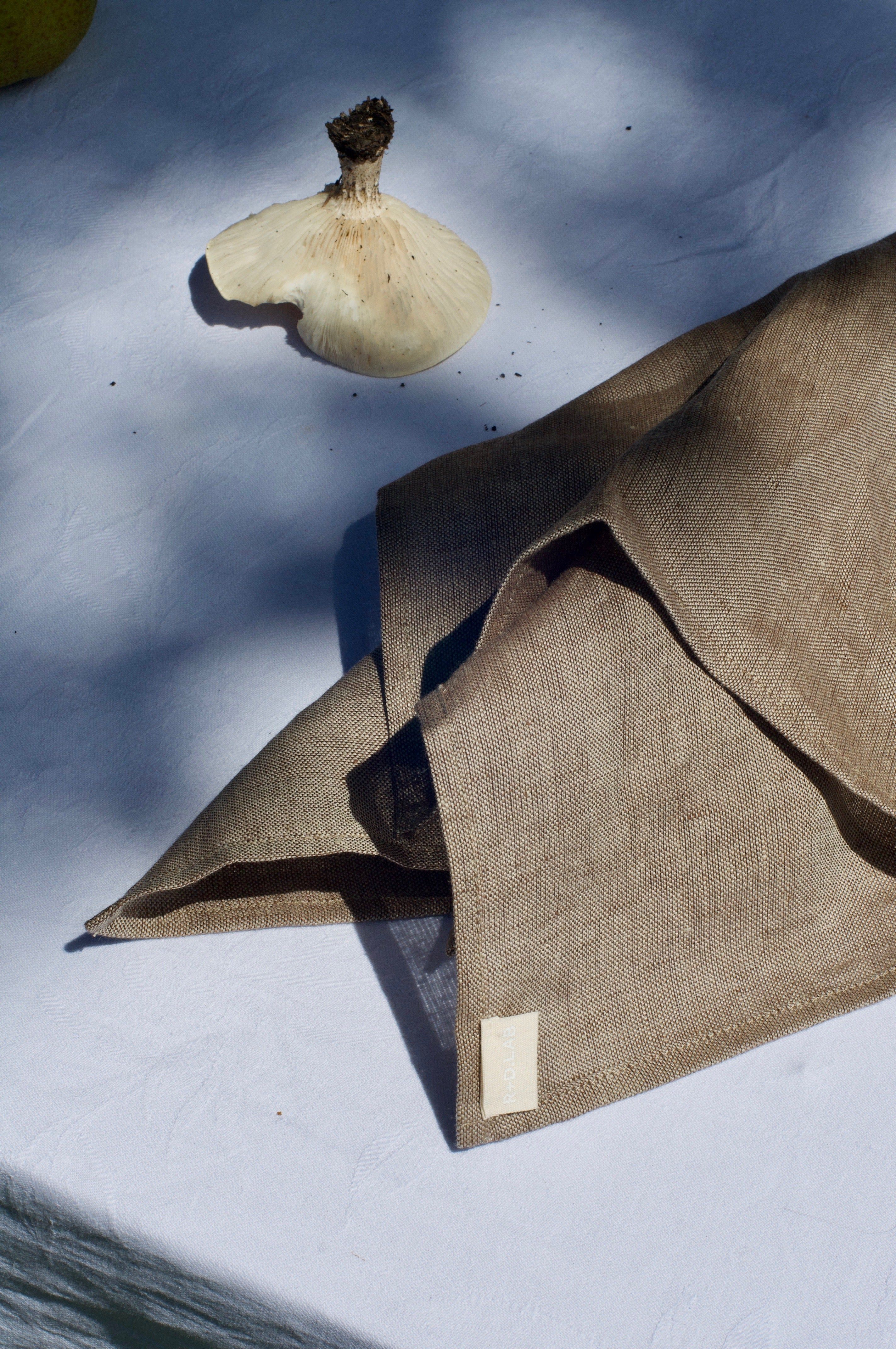 Beige cloth with white label on table. Mushroom cap nearby. Soft lighting creates natural shadows. Elegant contemporary table linen.