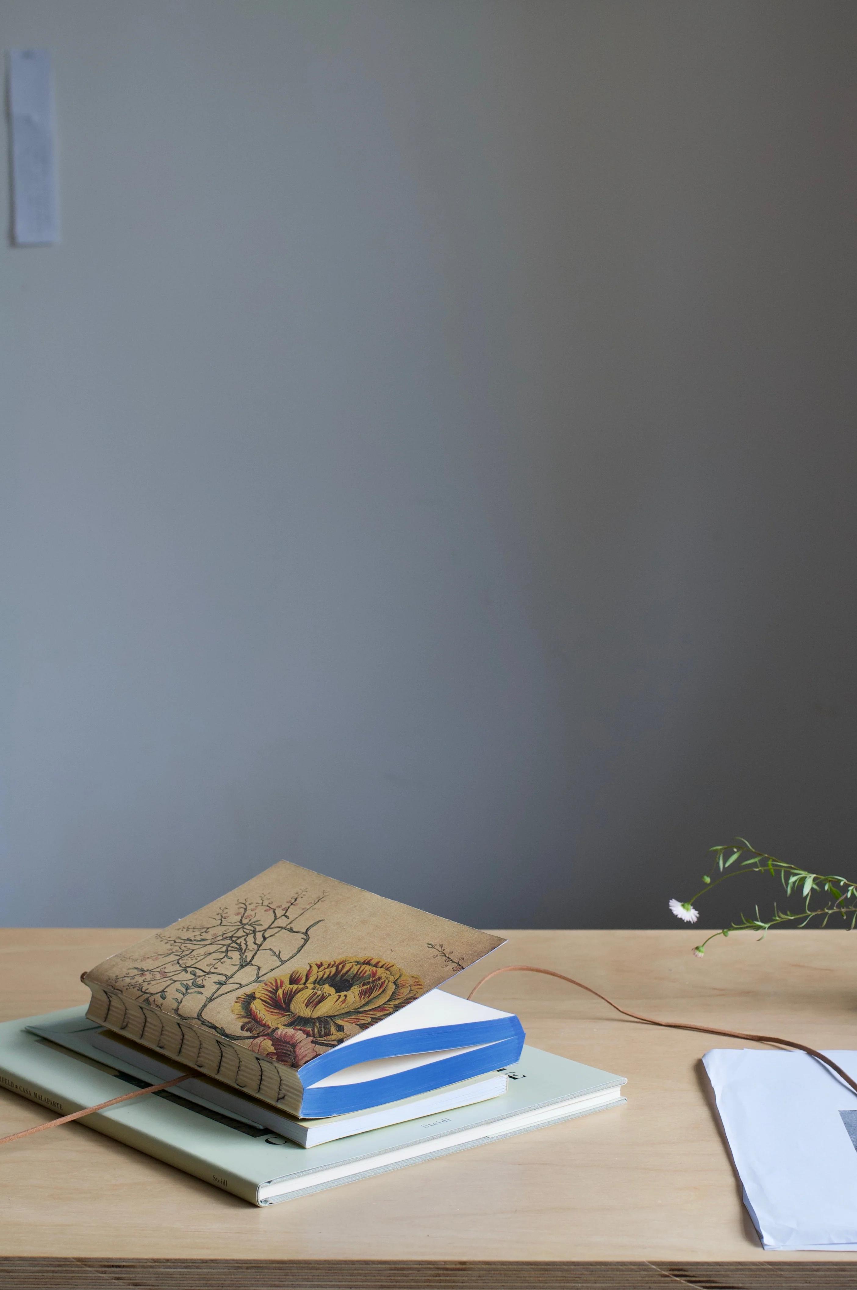 Stack of books on light wood surface. Top book has artistic cover with lion and branches. Small plant with white flowers at right edge.