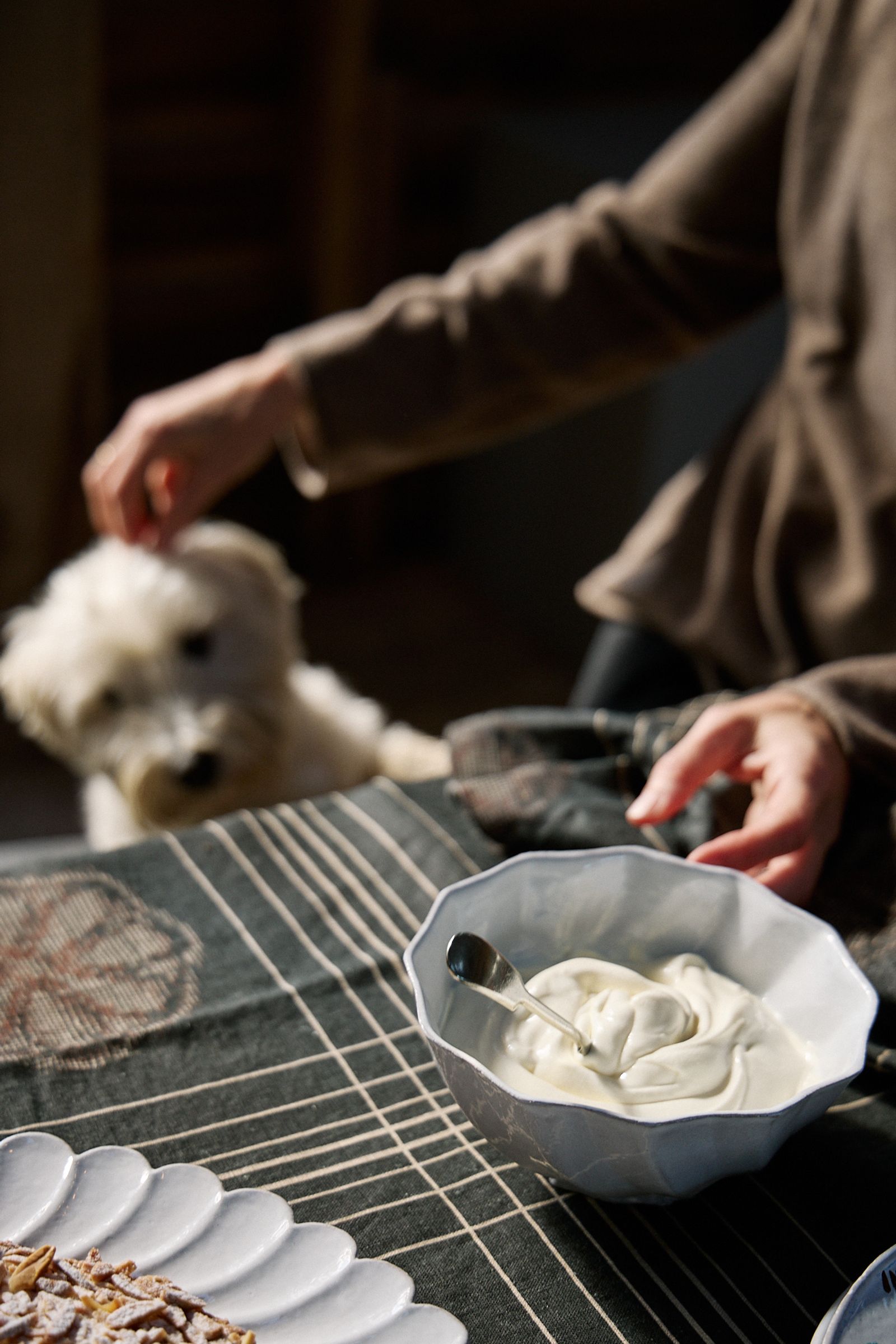 dog gets a head scratch instead of a slice of cake!