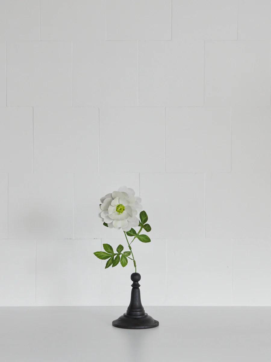 Single white flower with green leaves in small black vase. White wall with subtle tile pattern.