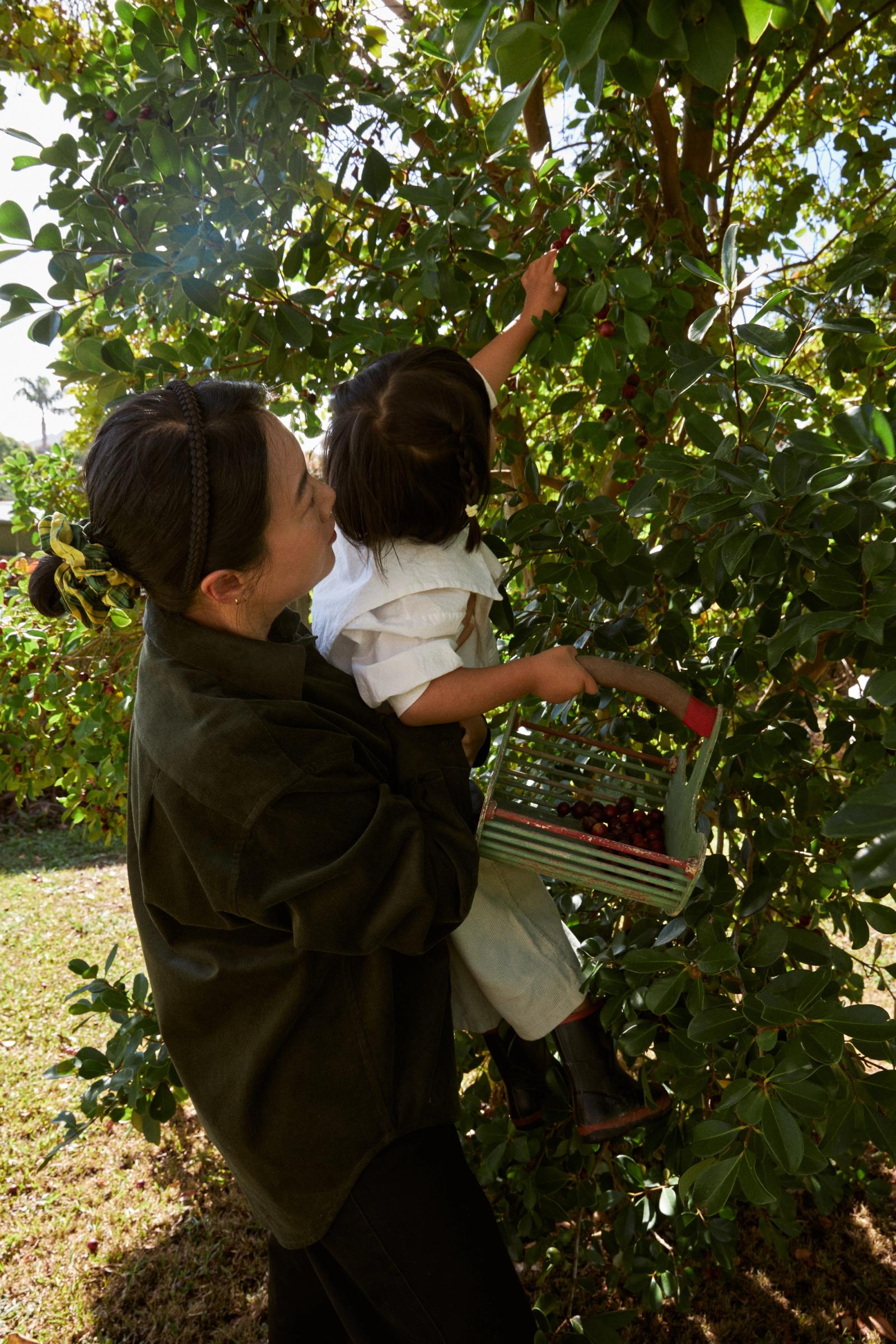 Jiho hoists Eden up to pick a guava from the tree