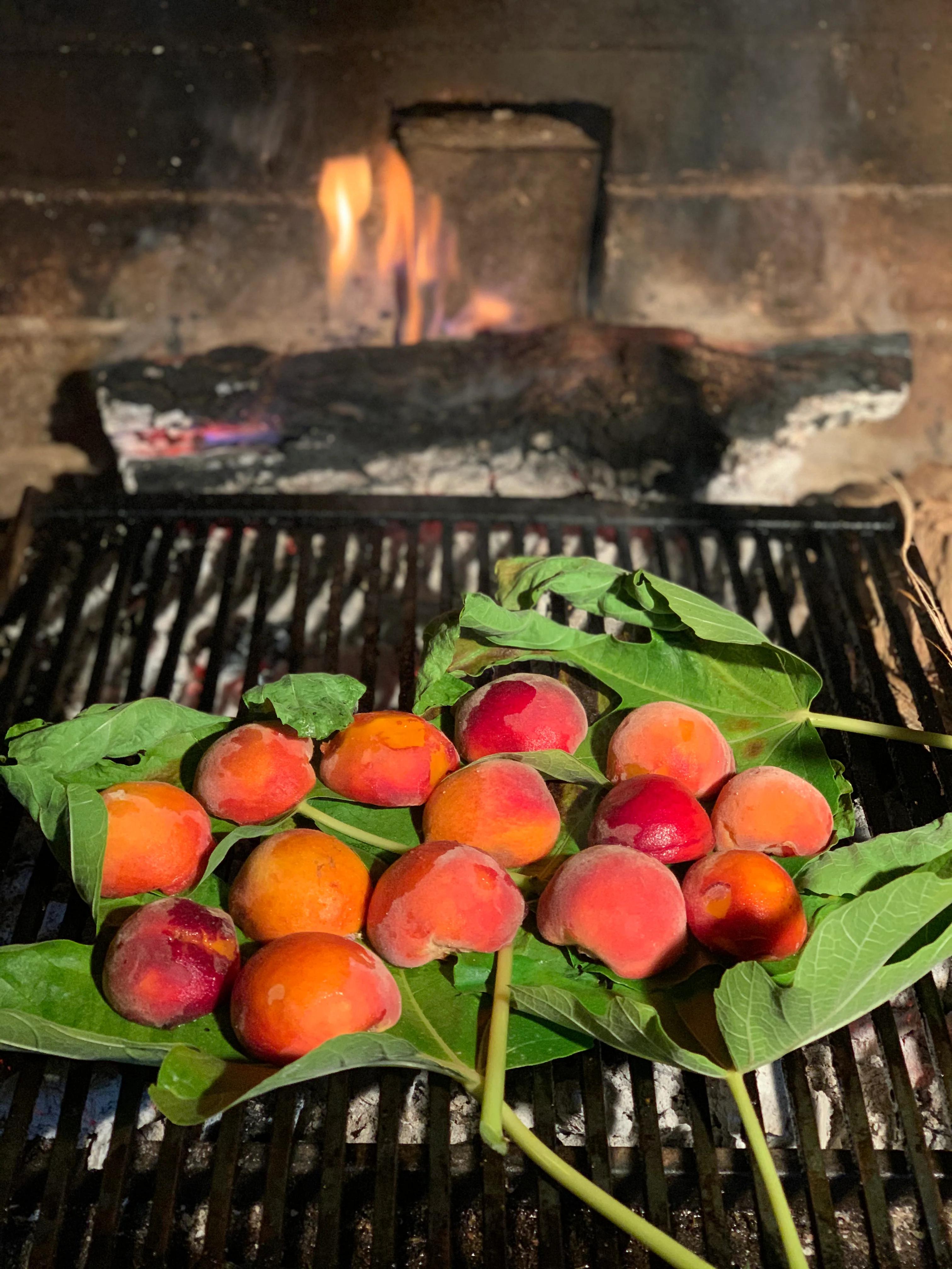 Peaches on green leaves on grill. Wood fire burning in background. Rustic outdoor setting.