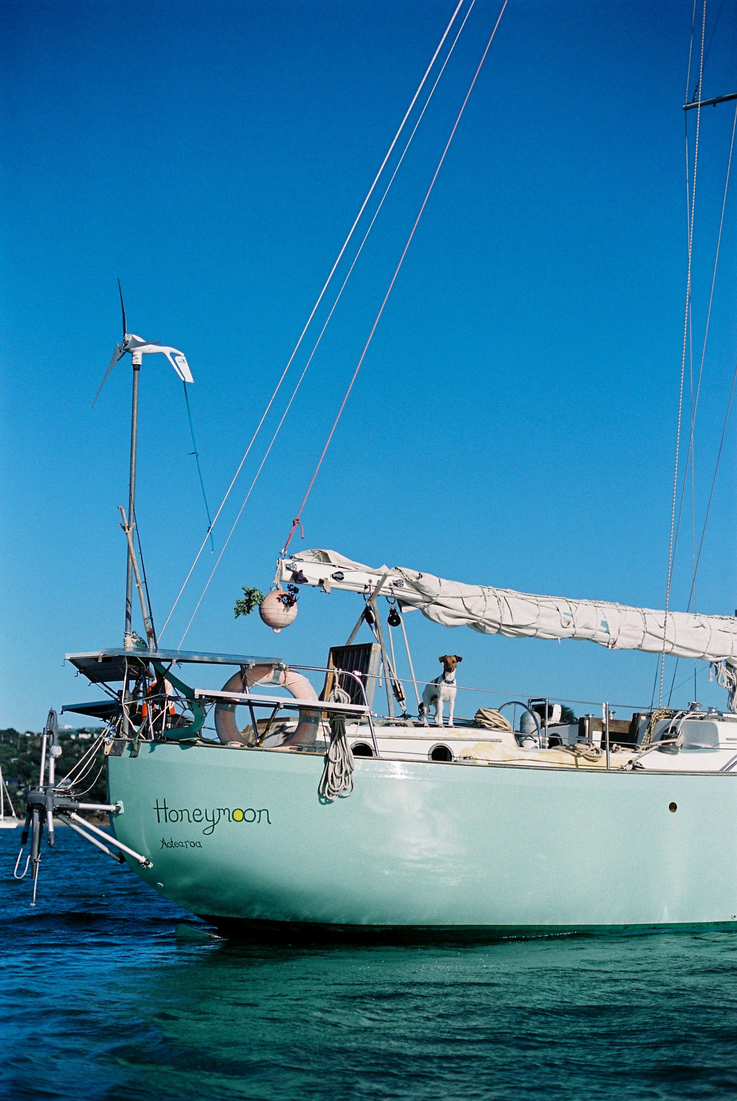 "Honeymoon" sailboat anchored in turquoise water. Lush greenery reminiscent of Waiheke Island.