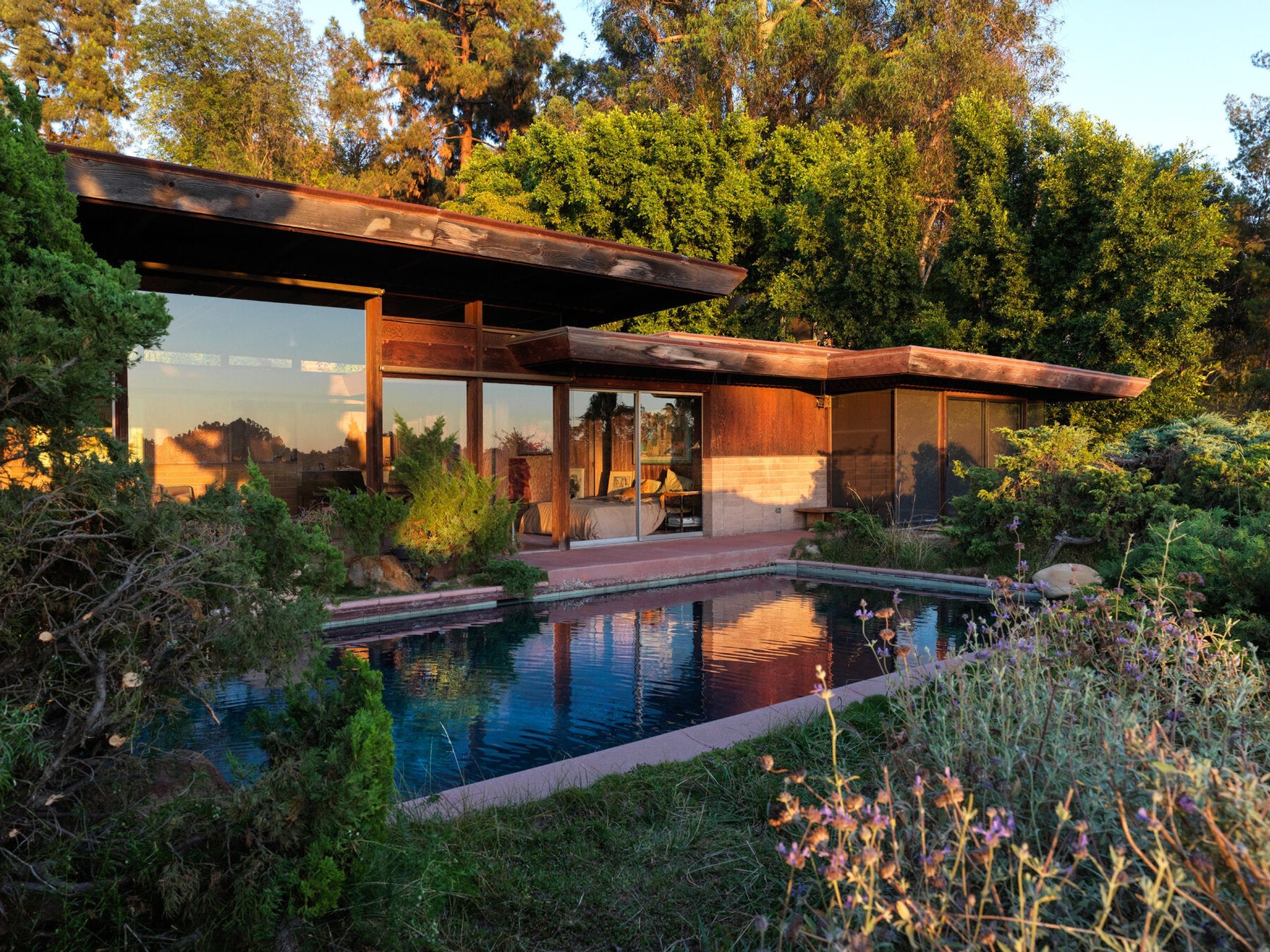 A modern, single-story LA home with large windows, A rectangular, reflective pool in the foreground, all surrounded by plants, trees and flowers. Evening sunlight casts a warm glow.