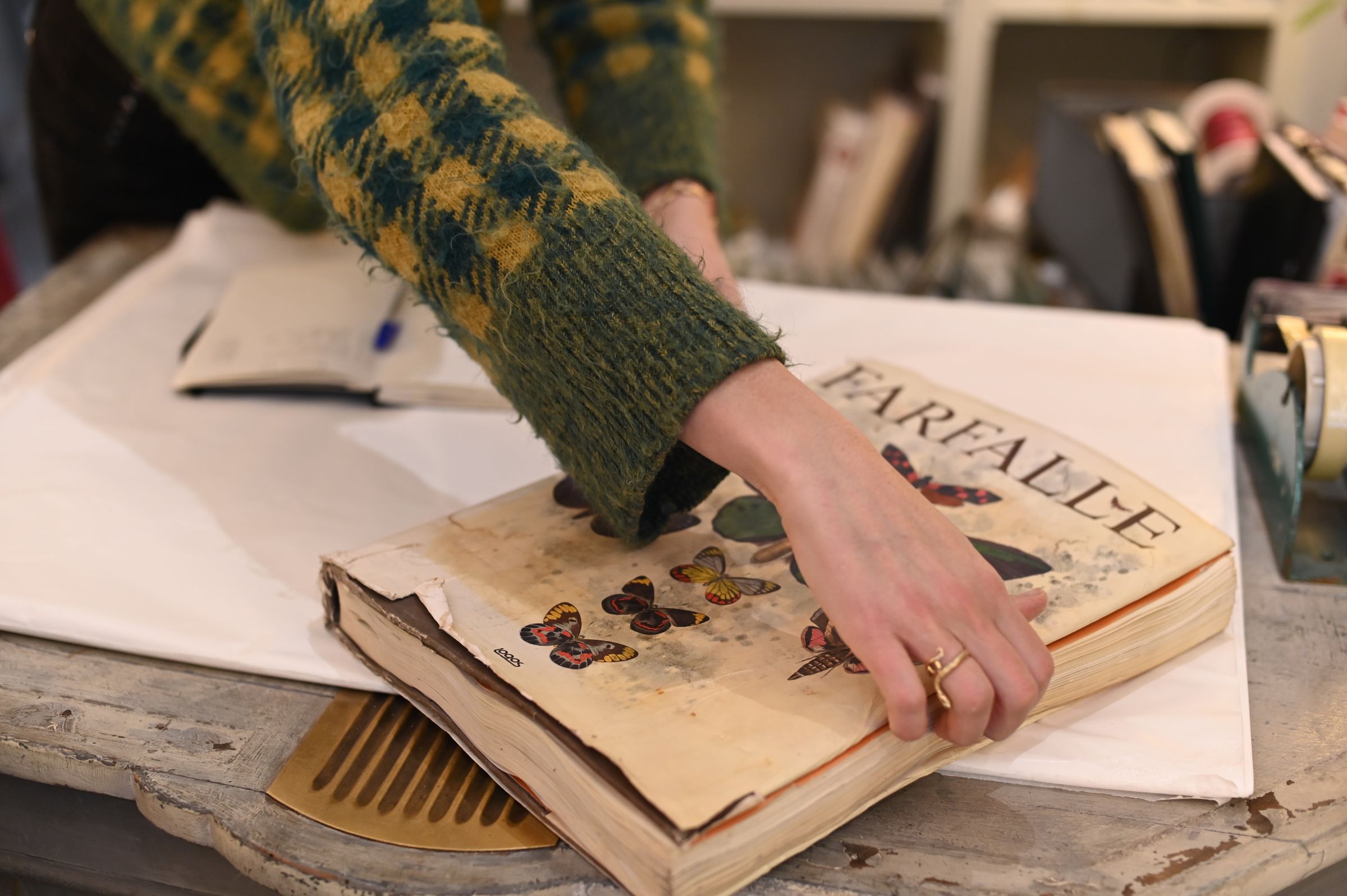 hand reaches for vintage botanical reference book Farfalle