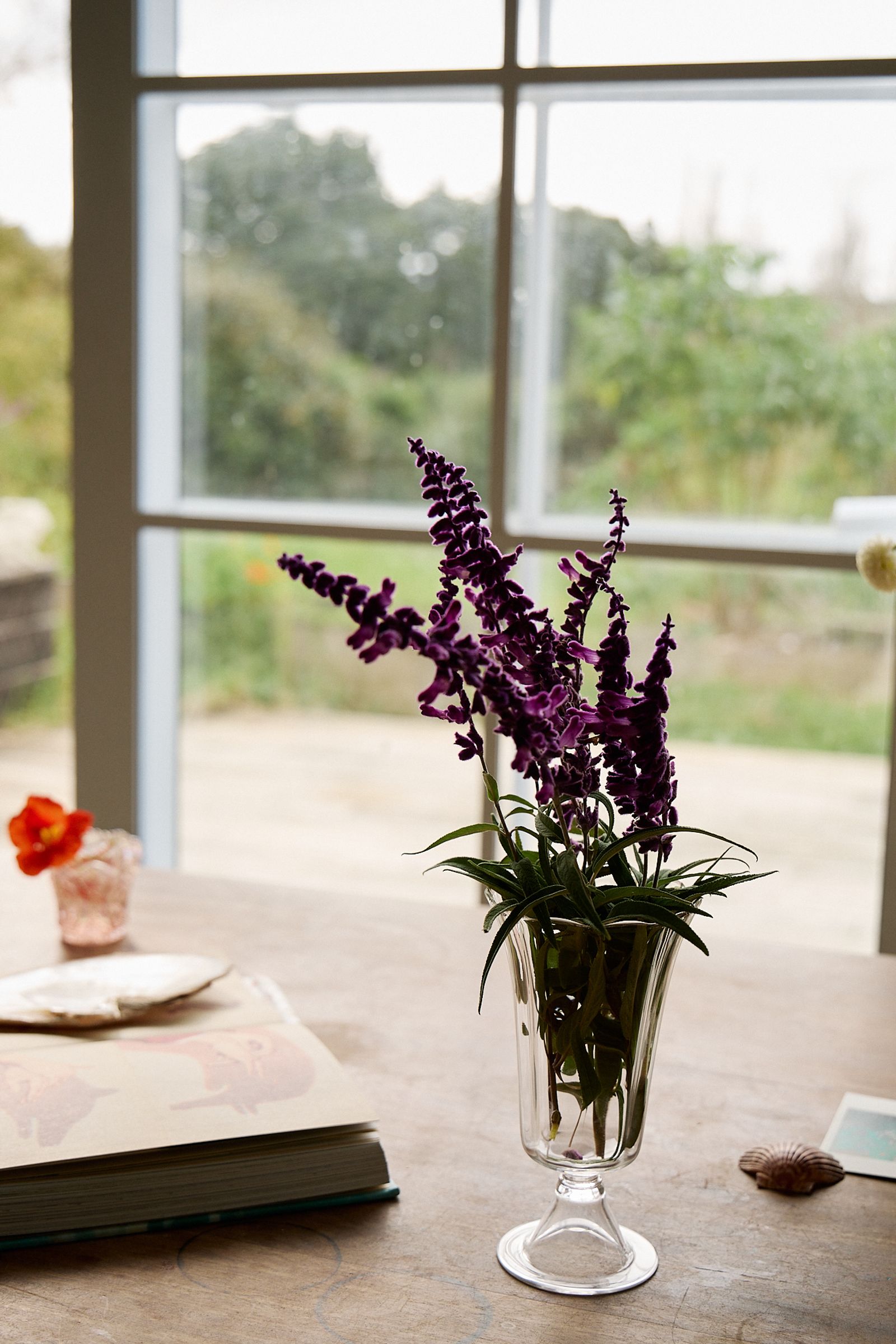 clear tulip shaped vase holds purple wildflowers on a table that faces an open door