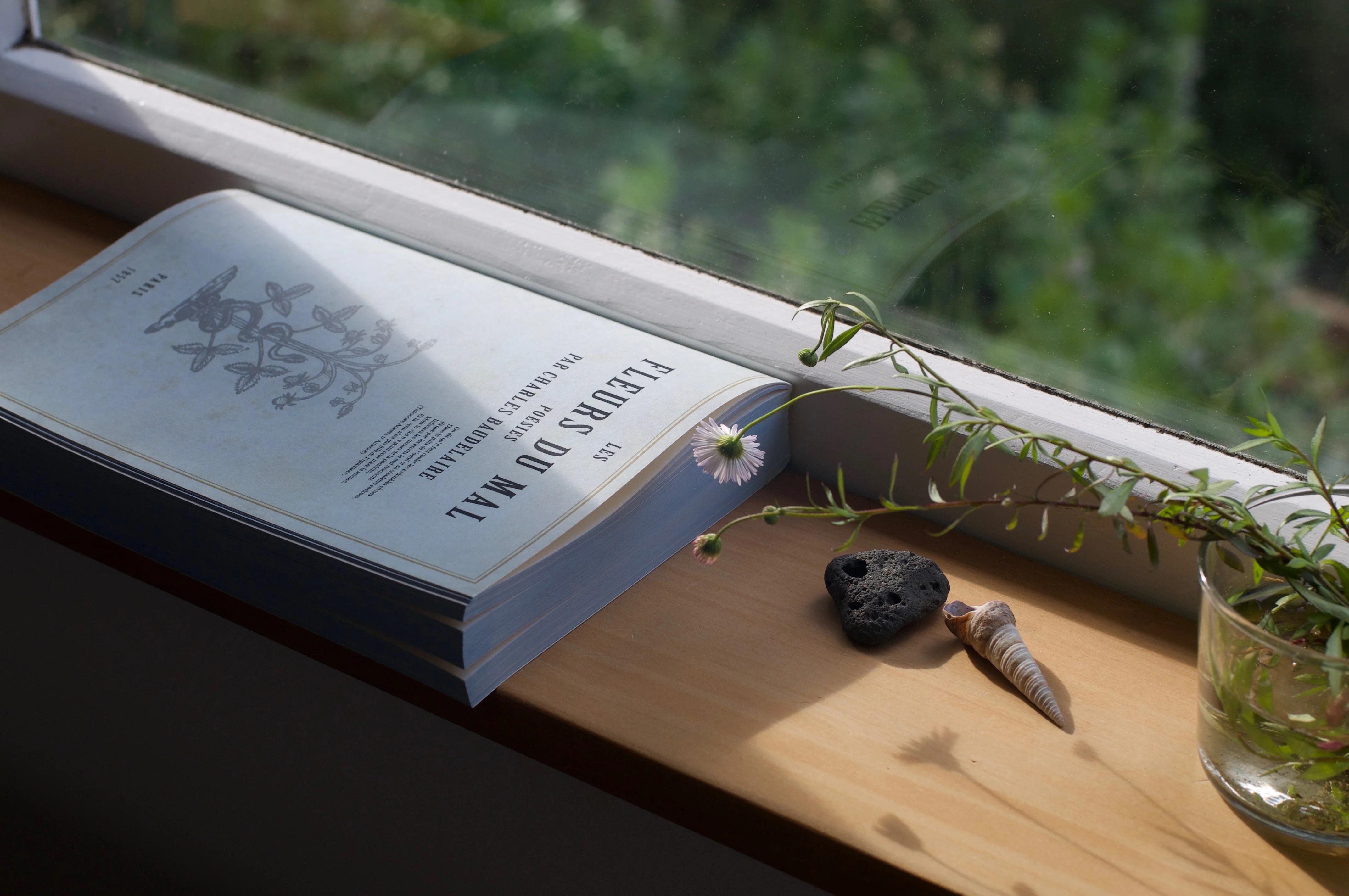 Blue "Lettres du Mal" book near sunny window. Black rock, seashell, and white daisy nearby. Vase with greenery adds serene atmosphere.