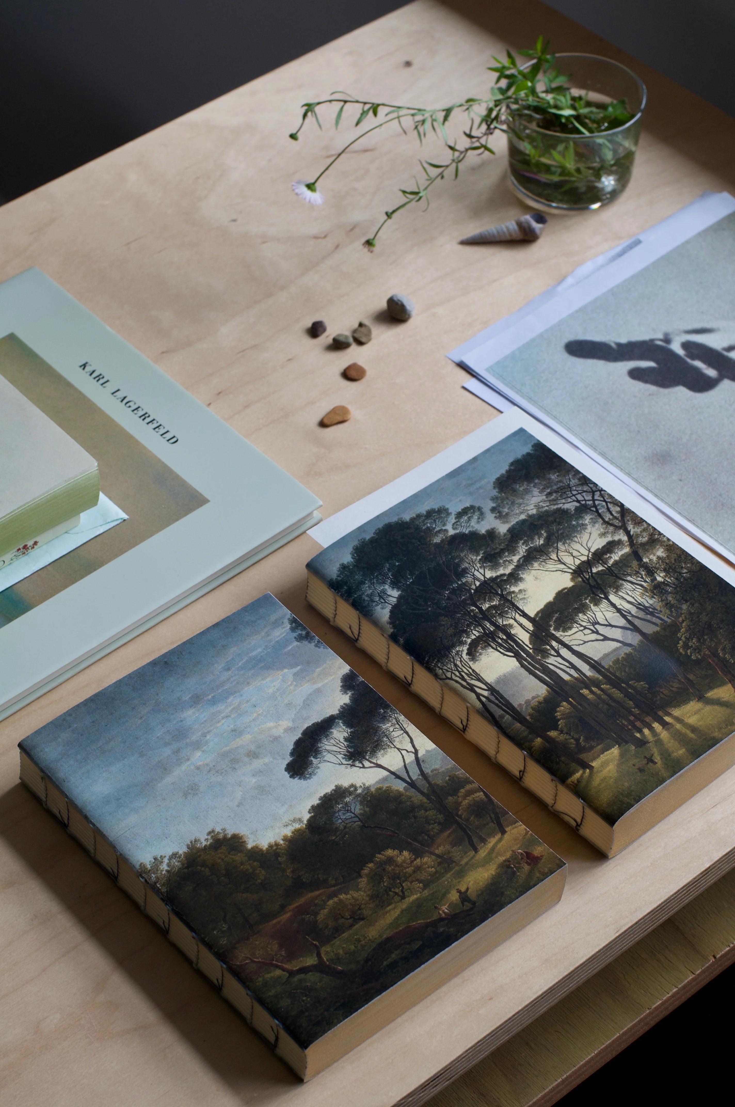 Wooden table with nature-themed books, "Karl Lagerfeld" book, stones, potted plant, and photographs. Minimalistic and artistic setting.