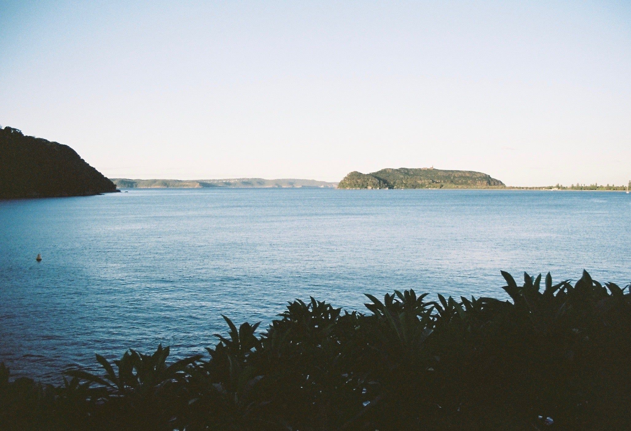 A serene ocean view with distant islands and rolling hills under a clear blue sky, framed by lush green foliage, evoking a quiet seaside cottage setting.