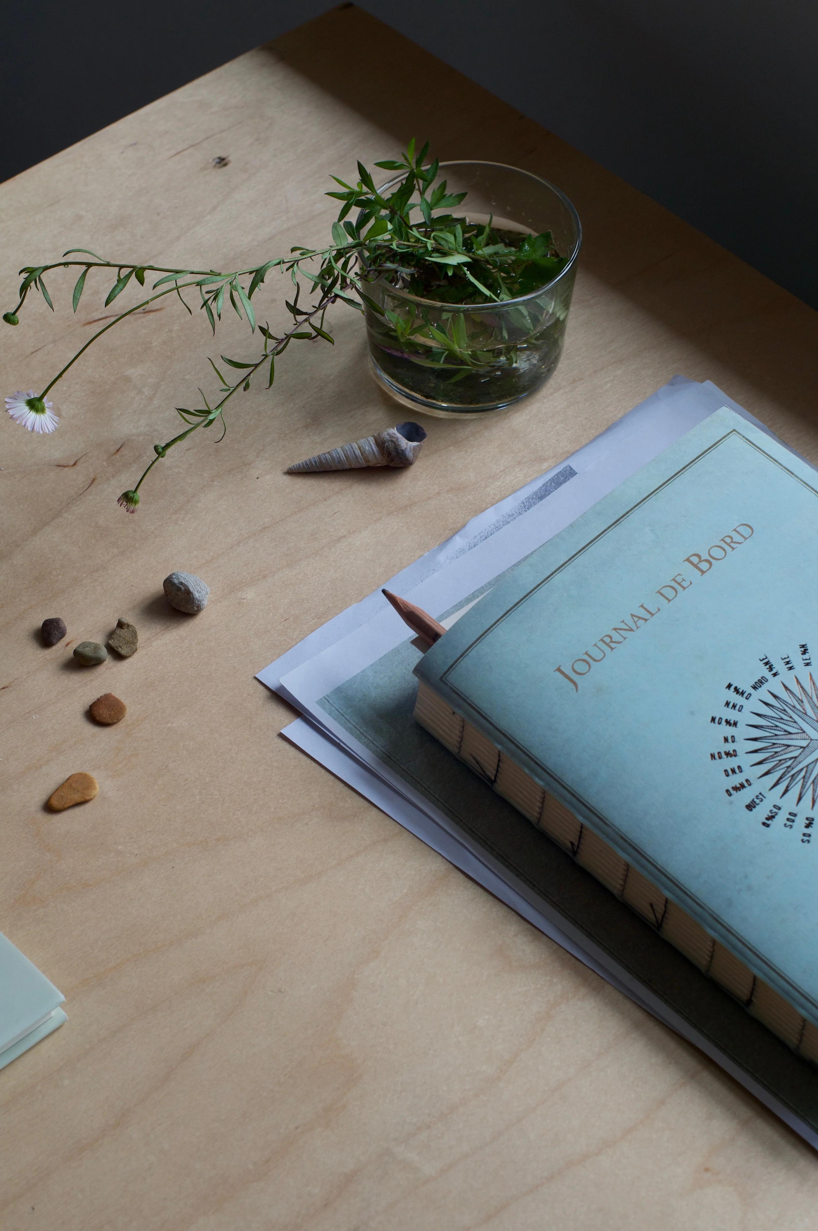 Light wooden desk with blue "Journal de Bord" book, elegant notebook, glass cup of green leaves, small stones, seashells, and papers. Soft daylight from left.