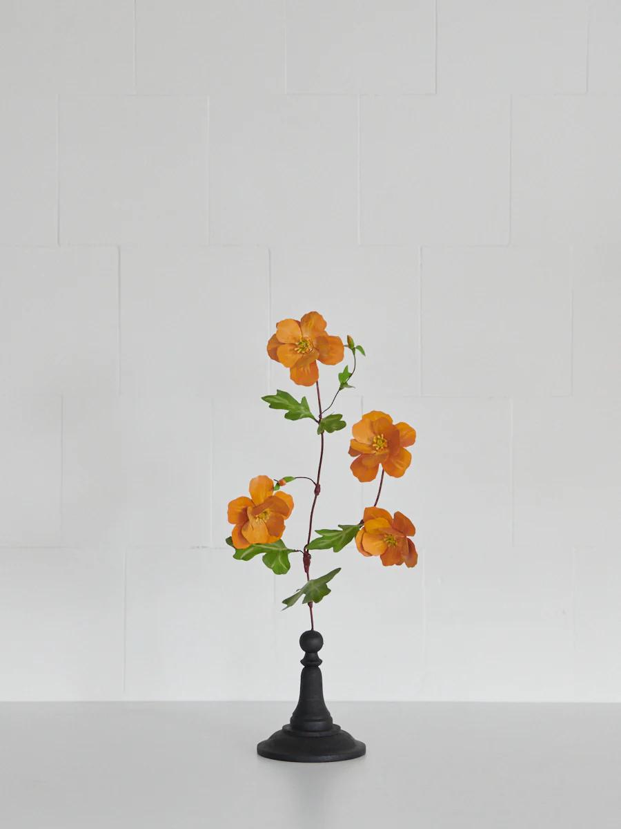 Orange flowers on thin stems with green leaves in tall, slender black vase. White textured background.