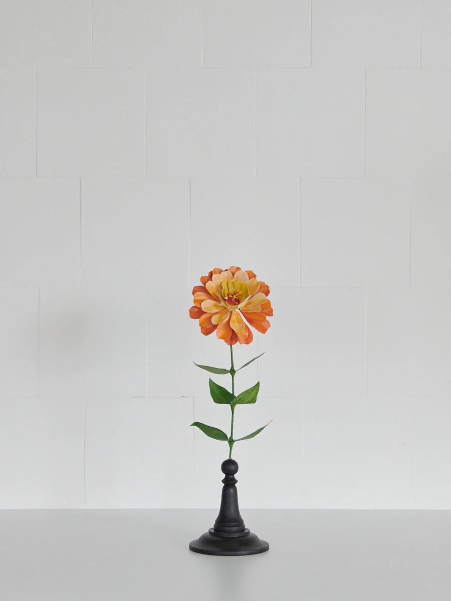 Orange zinnia flower in black vase against white-tiled background. Emphasises flower's vibrant colour and structure.