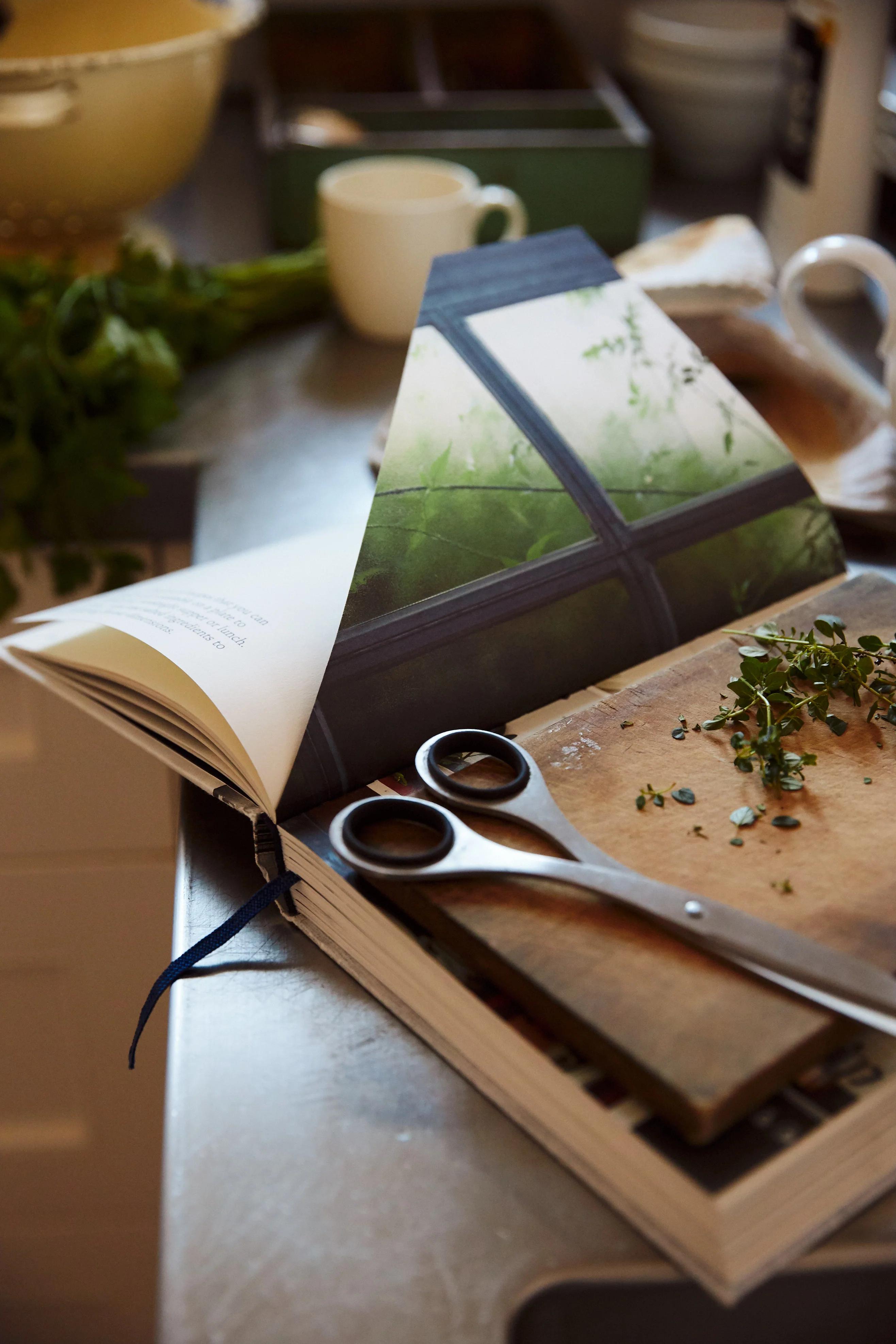 Open cookbook with plant image. Scissors, herbs, mug, and utensils on kitchen counter.