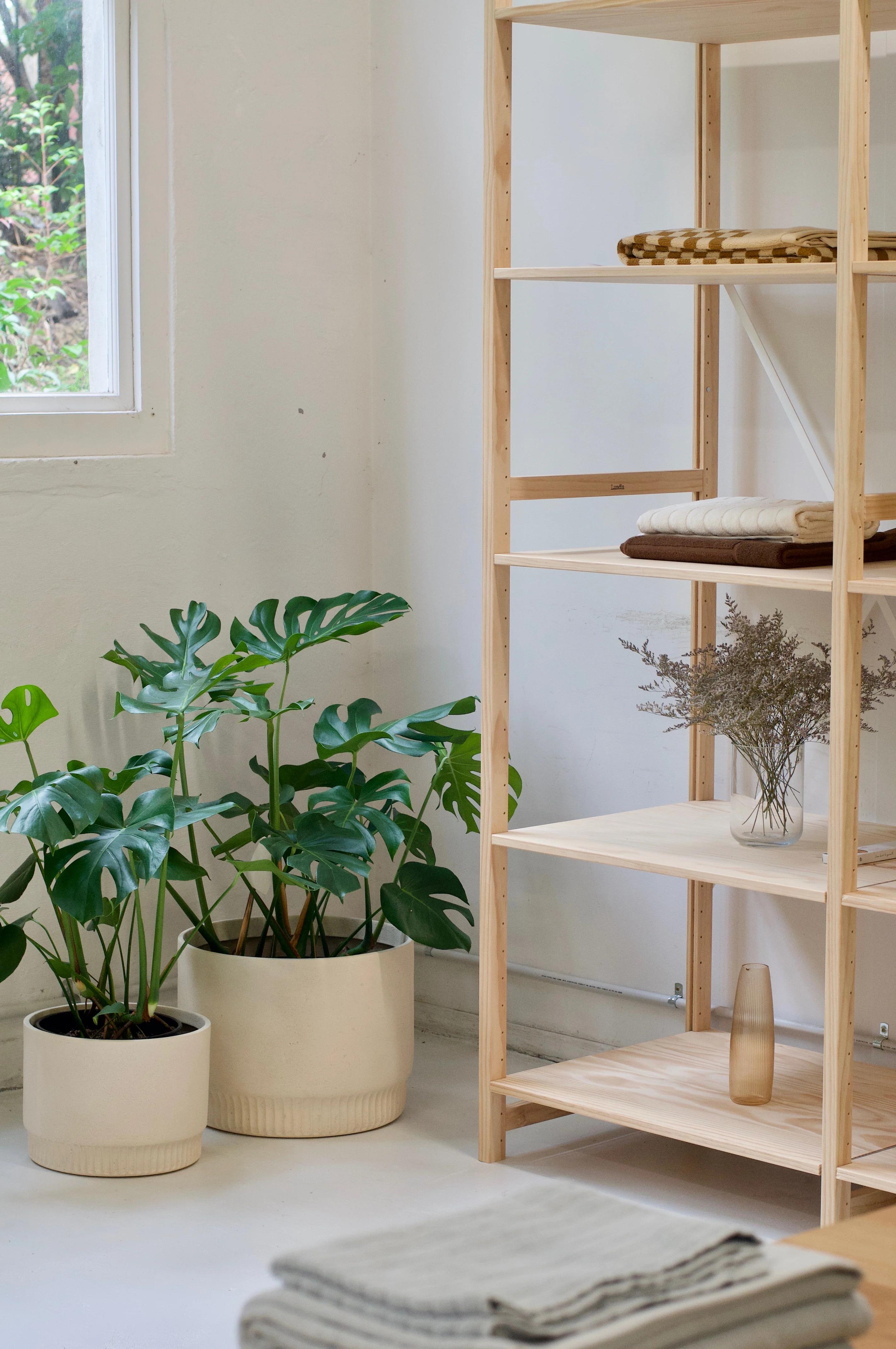 Minimalist room with wooden shelf displaying towels, dried flowers, baskets. Large monstera plants. Window in background.