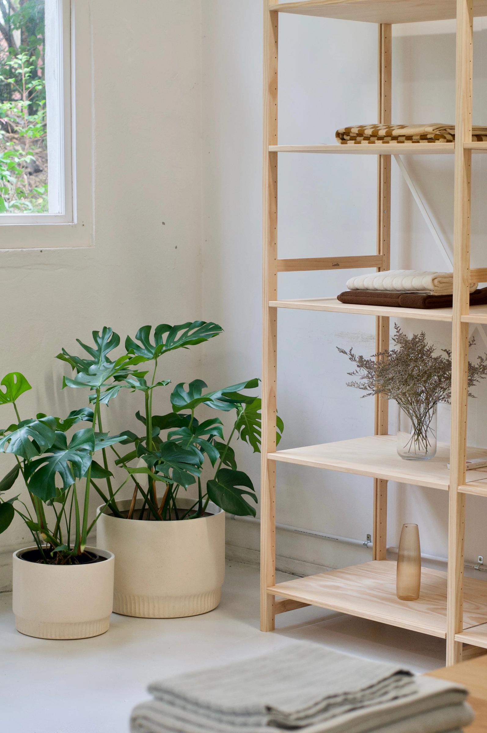 Minimalist room with wooden shelf displaying towels, dried flowers, baskets. Large monstera plants. Window in background.