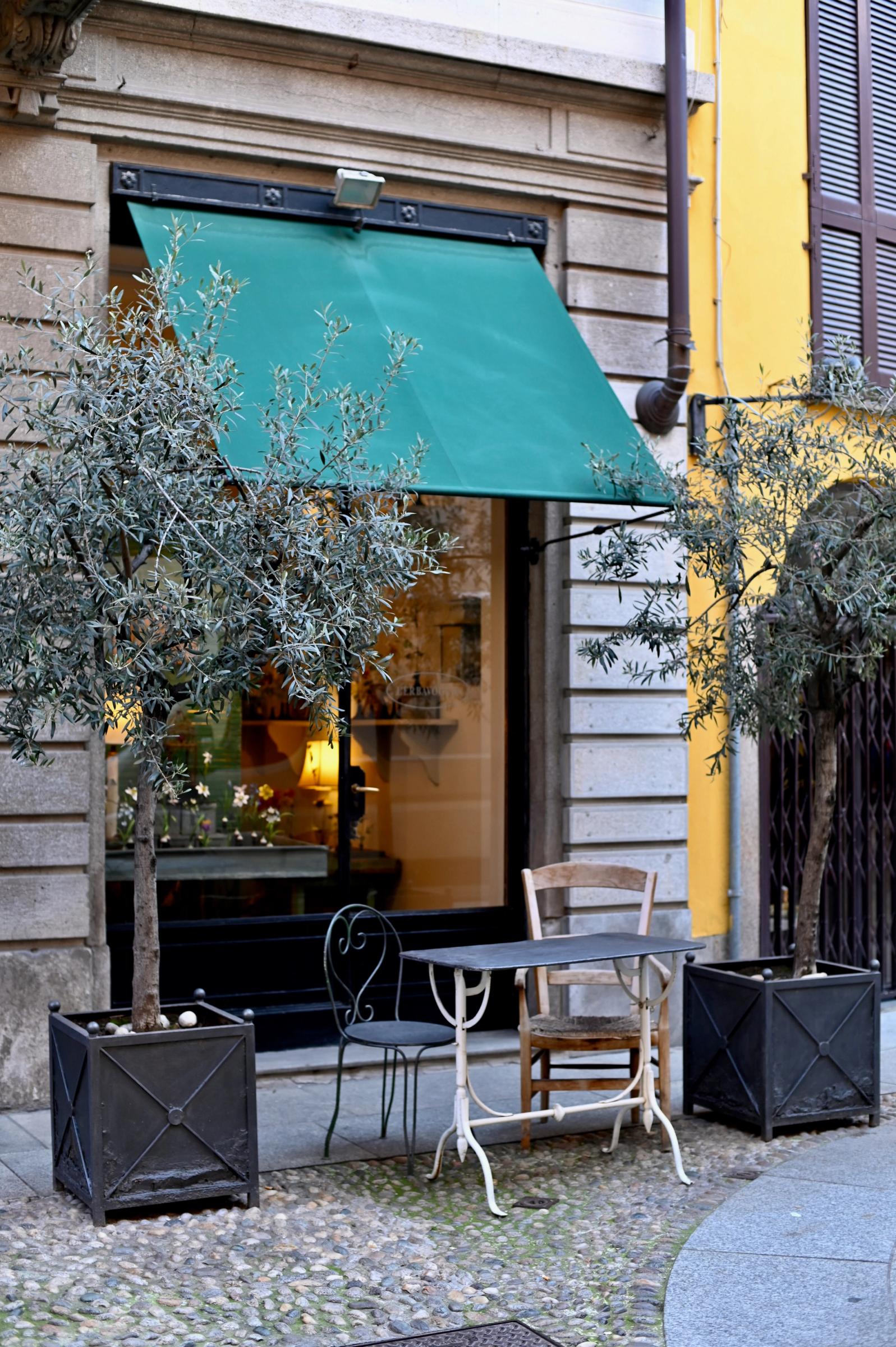 a small boutique in Milan with olive trees in pots framing the door