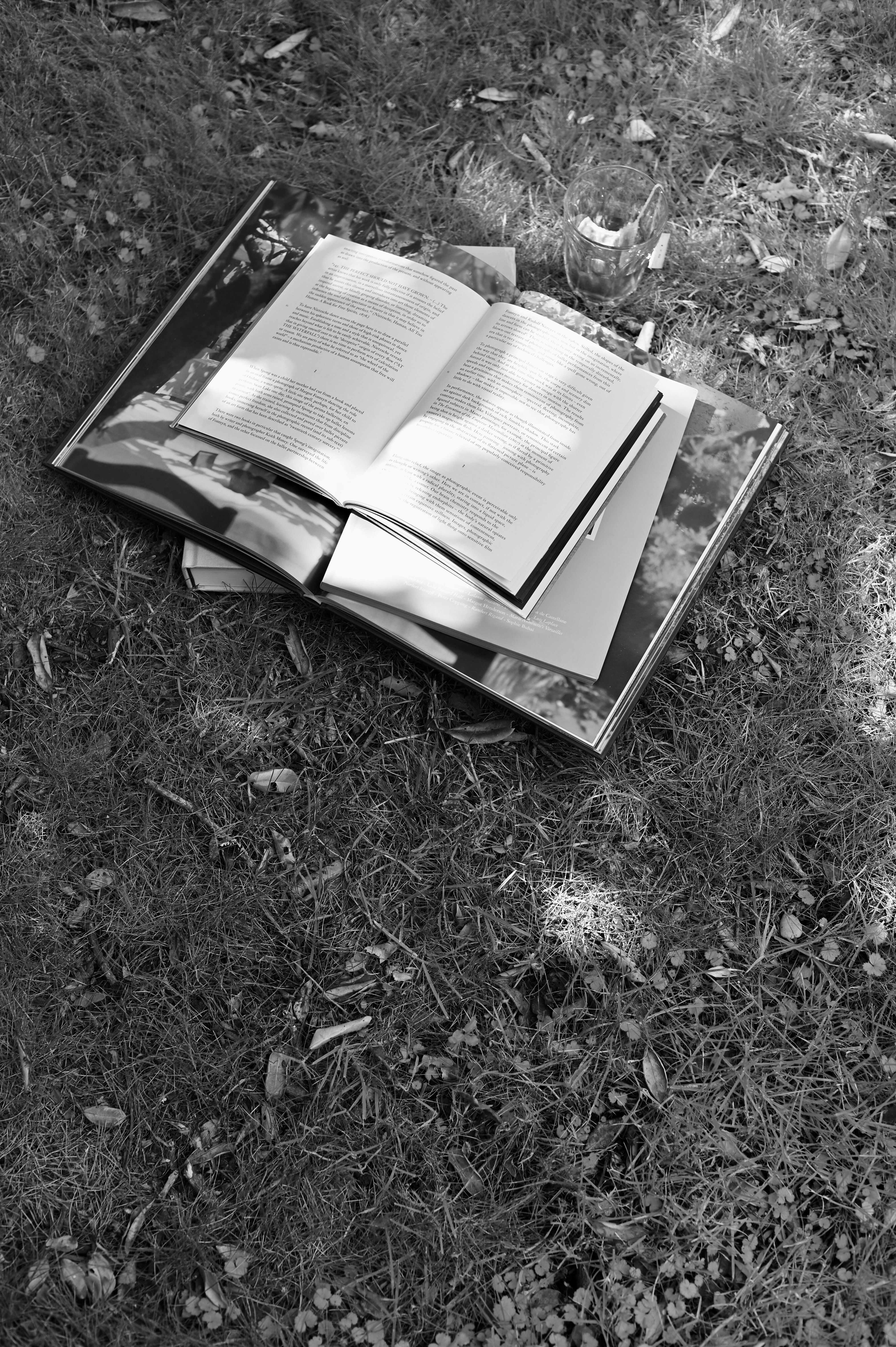 a pile of books on the grass under dappled sunlight