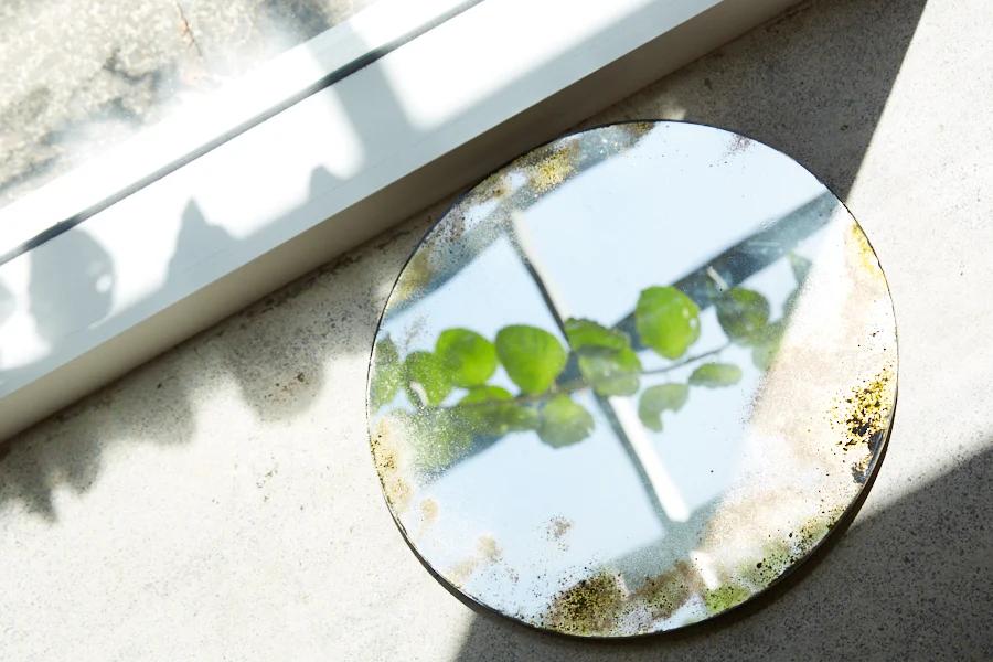 Tarnished round mirror on concrete, reflecting leaves and window. Sunlight casting leaf and frame shadows.