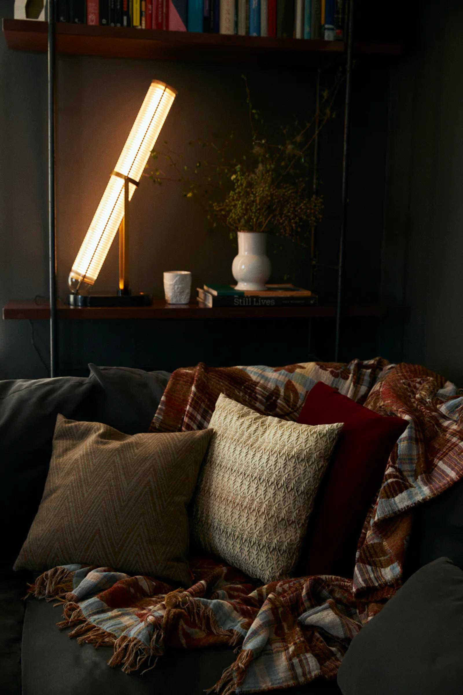 Cosy living room with dark sofa, patterned cushions, and plaid blanket. Lit lamp illuminates bookshelf with plant. Inviting ambiance.