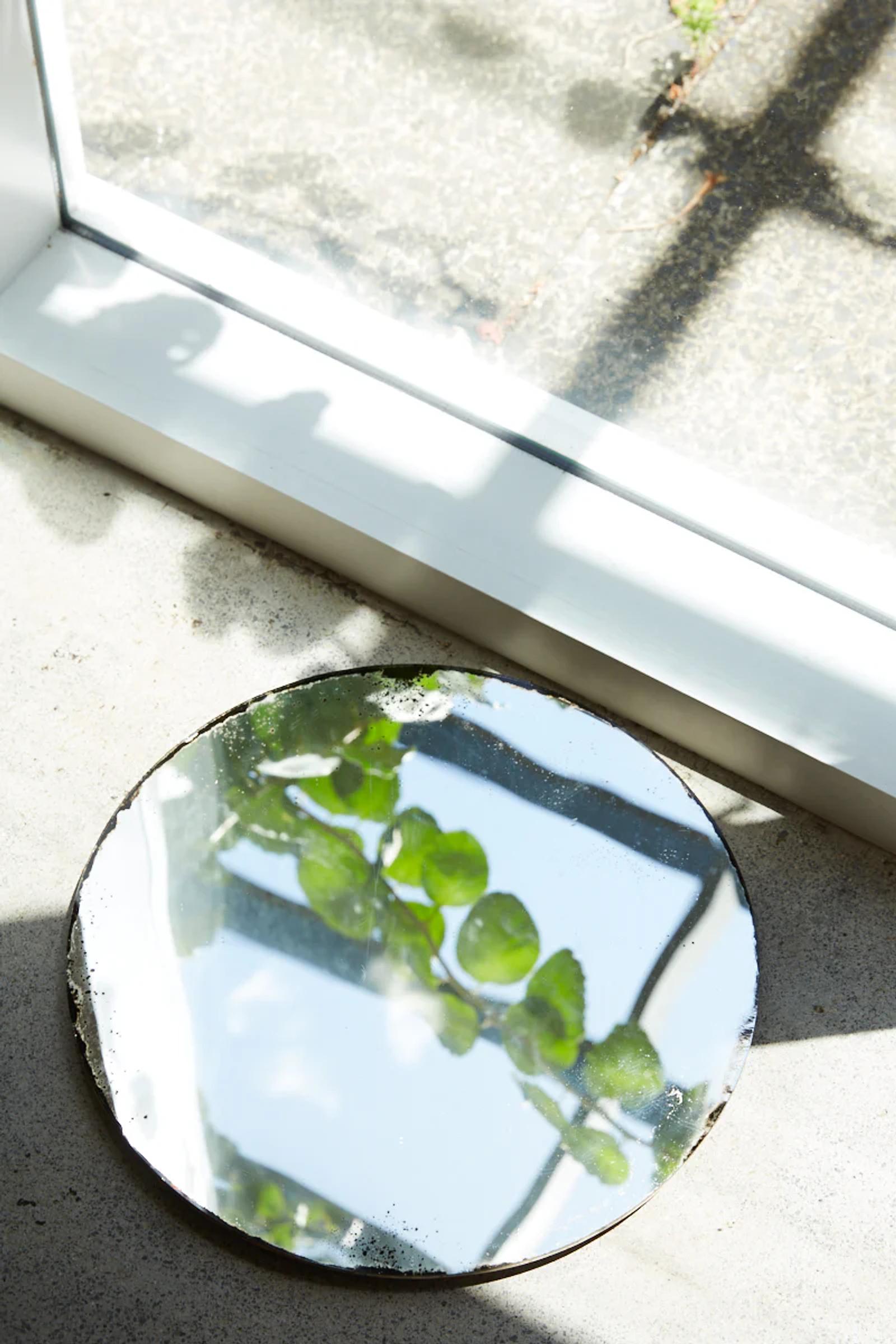 Mirror on ground near window, reflecting leaves and sky. Sunlight casting shadows on concrete floor.