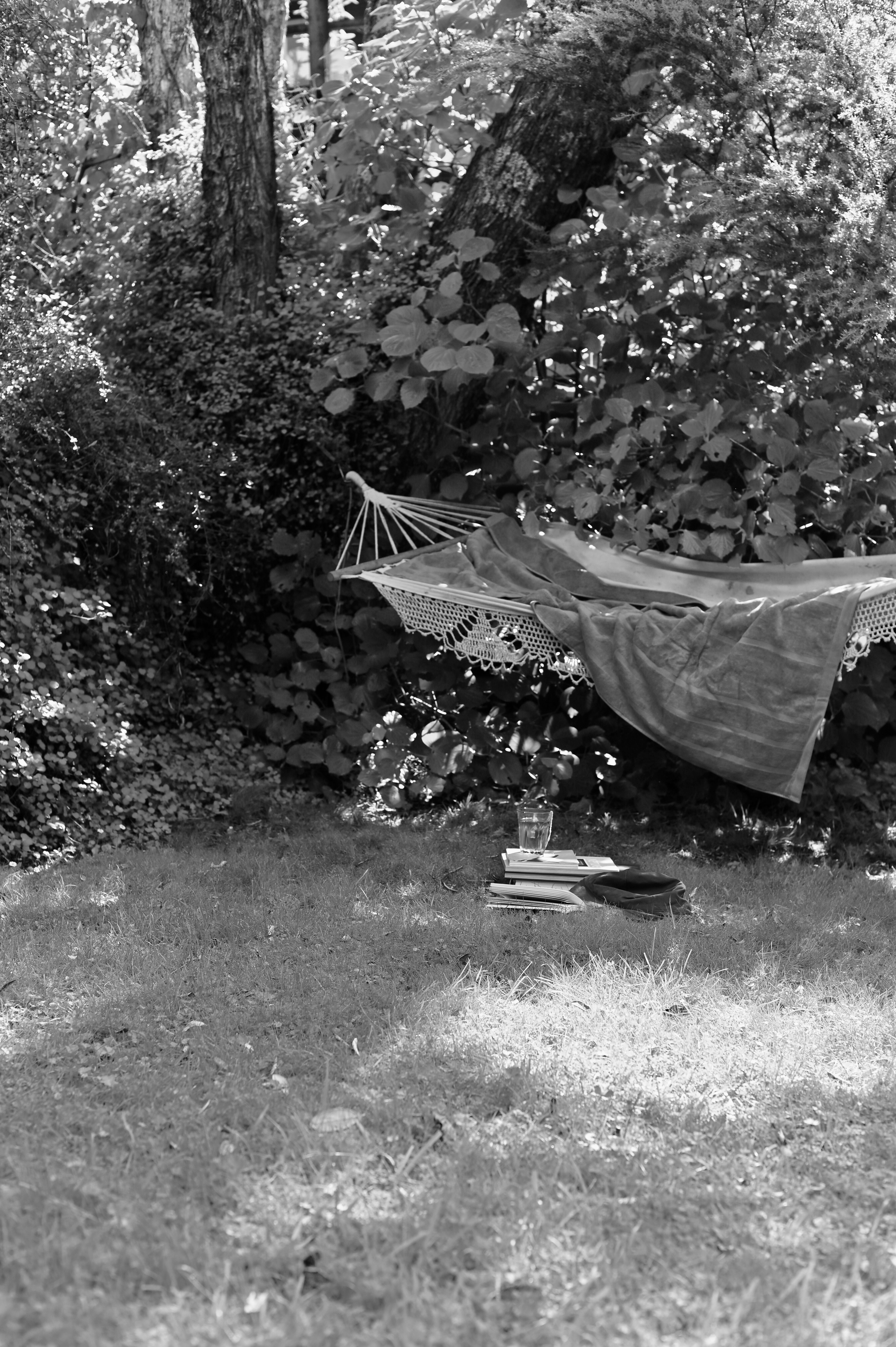 garden features a white hammock placed under a kawakawa tree