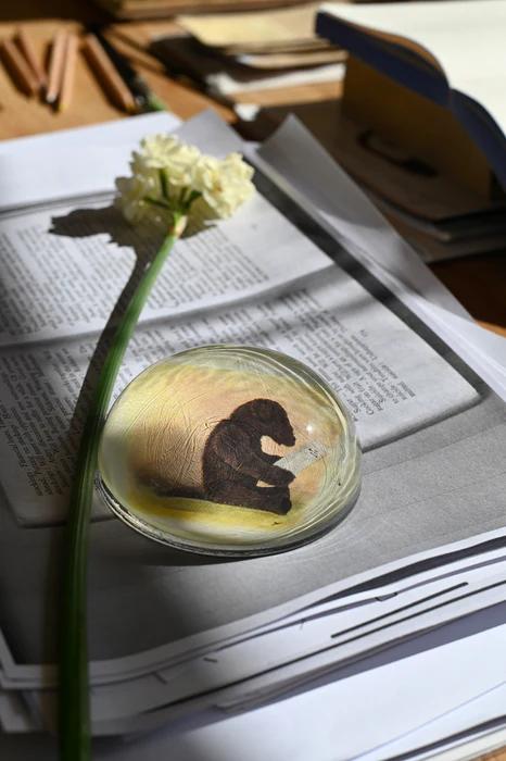 Glass paperweight with bear silhouette on papers. Open book and white flower nearby. Sunlit wooden surface.