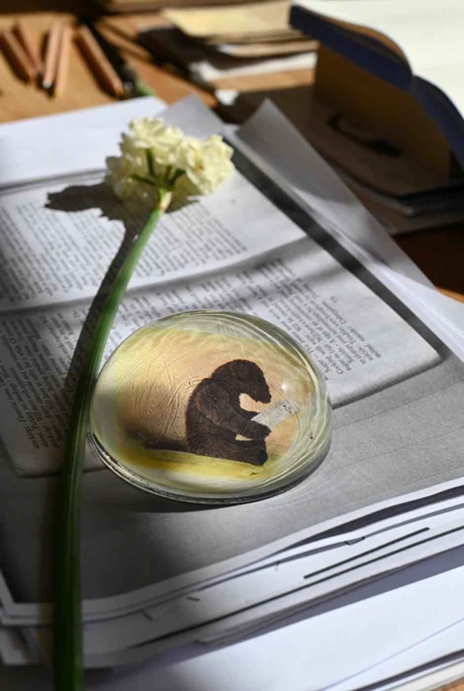 Glass paperweight with bear silhouette on papers. Open book and white flower nearby. Sunlit wooden surface.