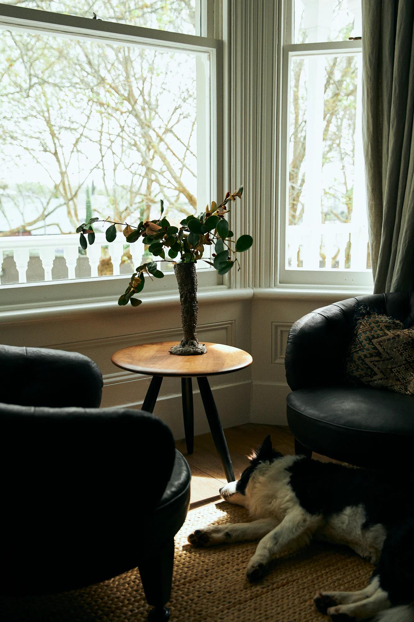 Two black armchairs around wooden table with plant. Dog sleeps on rug. Large windows show outdoor greenery.