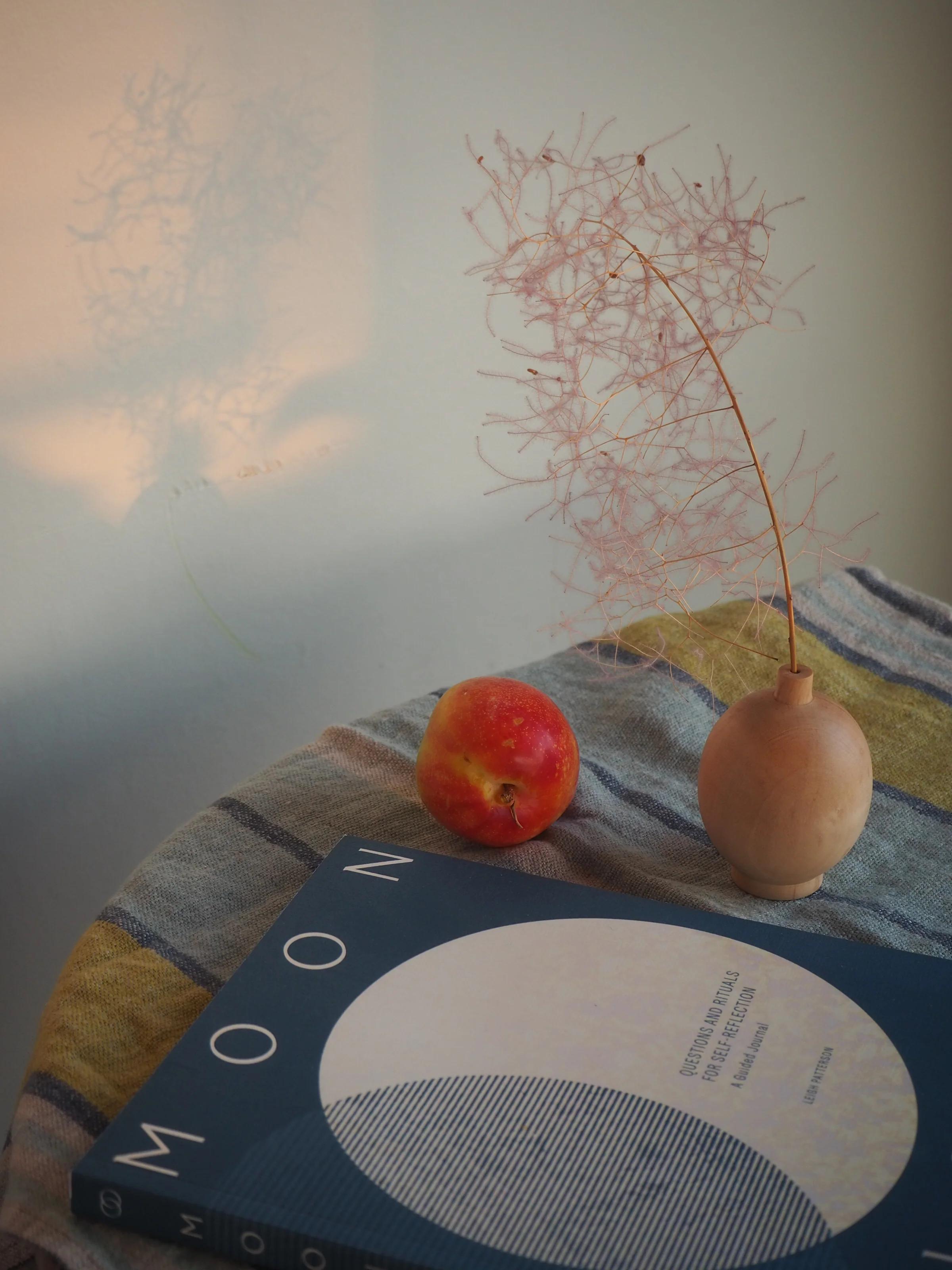 A table with a striped cloth, dried flowers in a wooden vase, an apple, and a book titled “MOON,” bathed in soft sunlight.