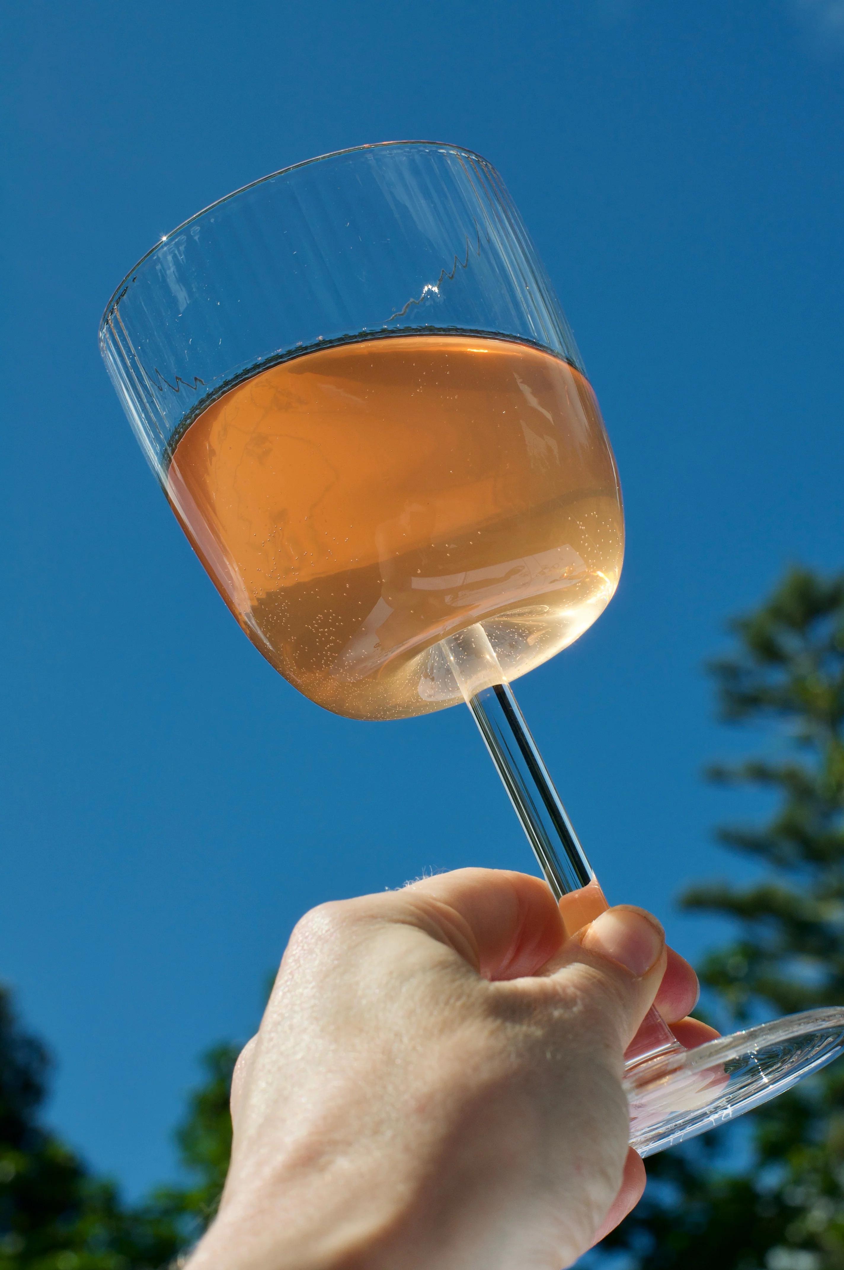 Hand holds wine glass with rosé against blue sky. Trees visible in background. Sunlight shines through glass.