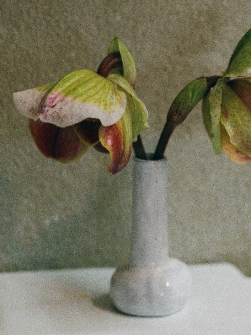 A small ceramic vase with two orchids, their petals green and pink, next to a folded Baina hand towel, against a textured, muted wall.