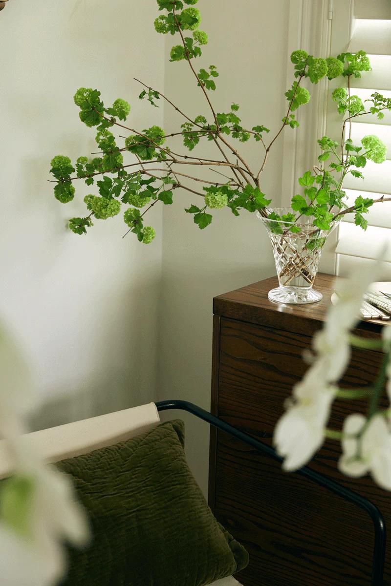 Glass vase with greenery on wooden dresser. Beige chair with dark cushion nearby. White shutters and flower in foreground create festive mood.