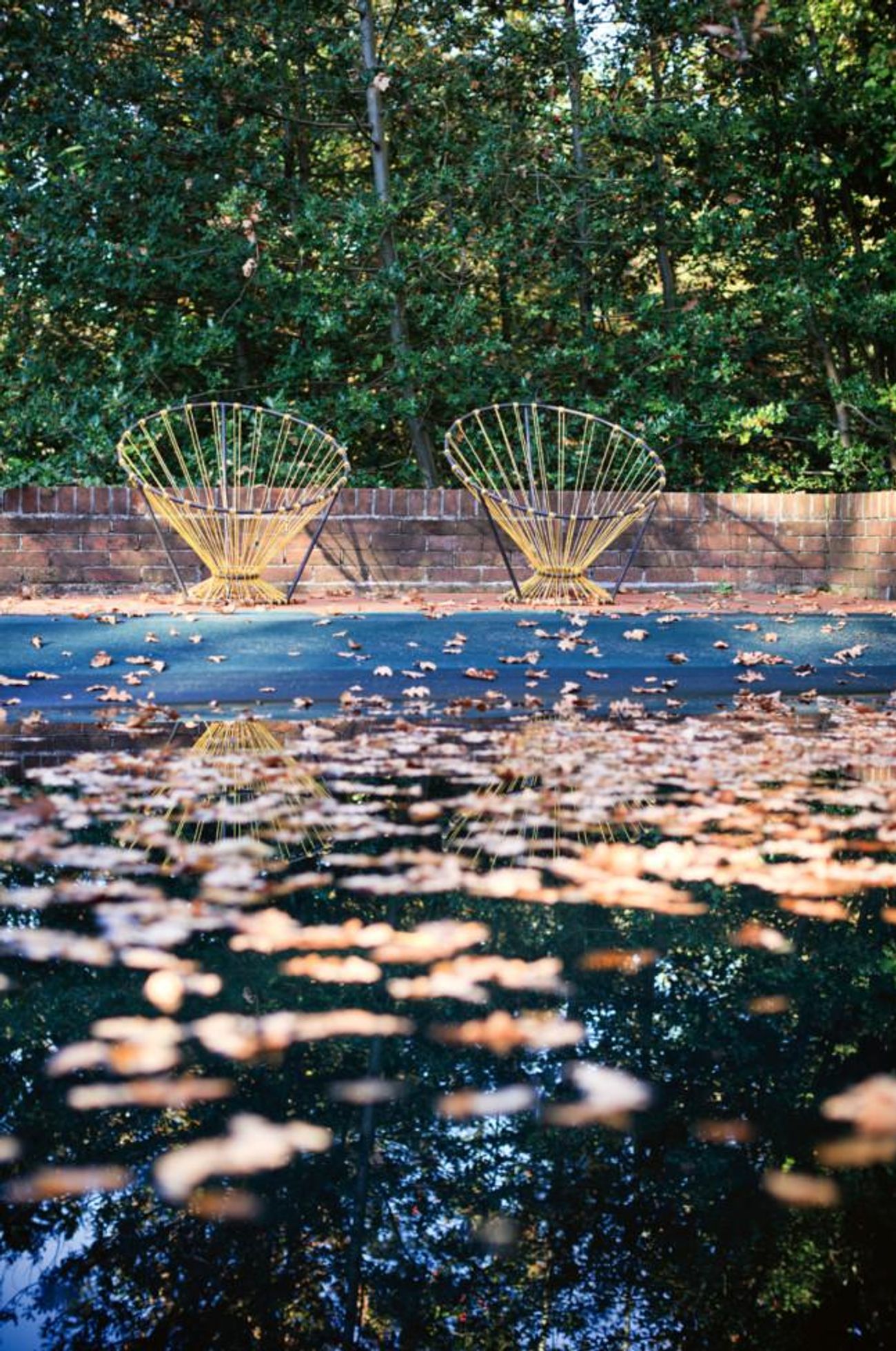 Two yellow wire chairs on patio. Reflective surface with fallen leaves. Brick wall and dense foliage in background.