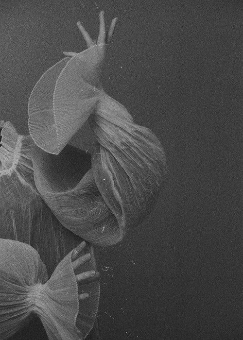 Black and white photo of a dancer's arms and hands wearing flowing, sheer fabric. The fabric is caught mid-motion, creating dynamic and graceful shapes against a dark background.