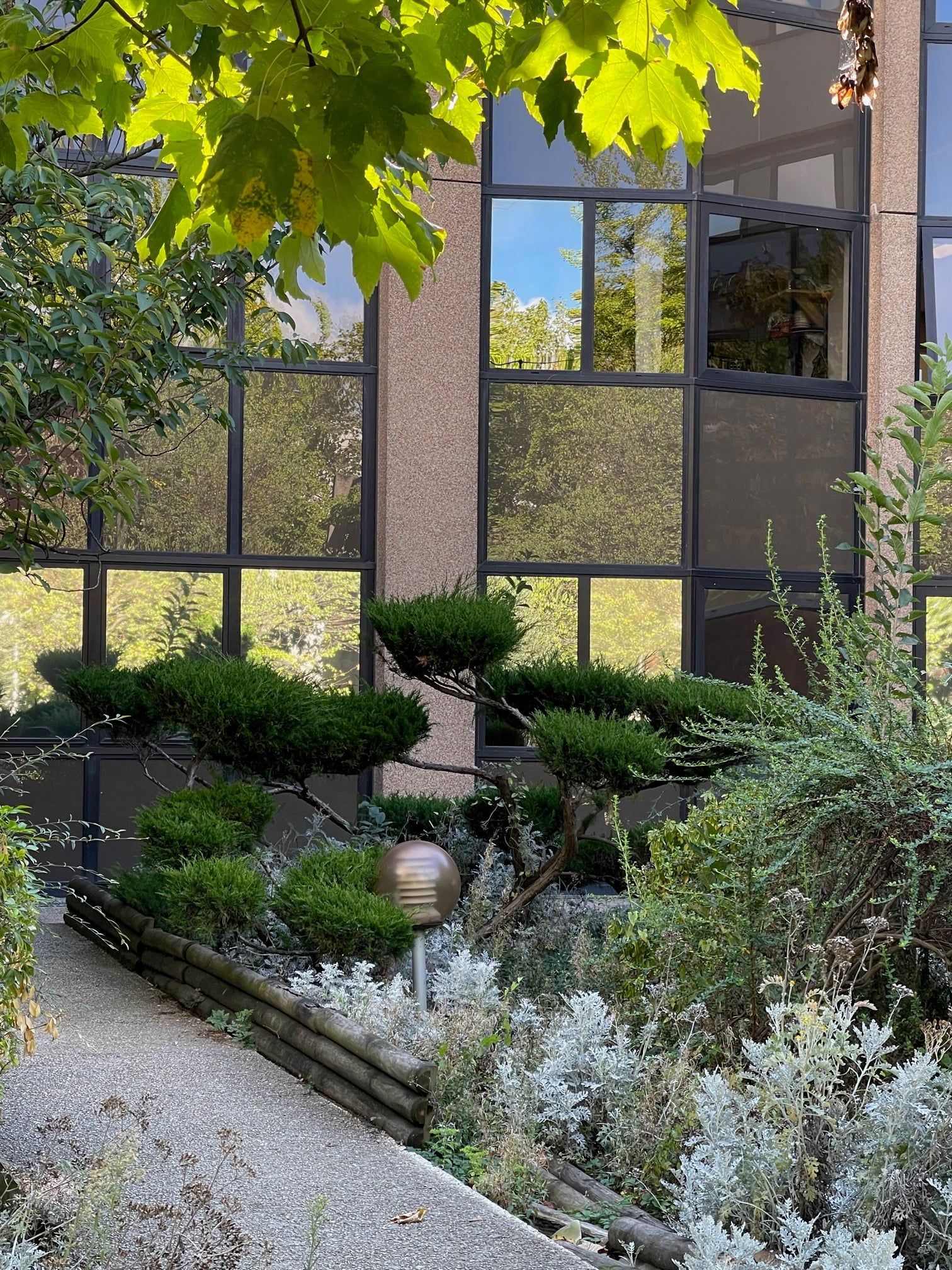 Path beside modern building with reflective windows. Shrubs and grasses line the way.